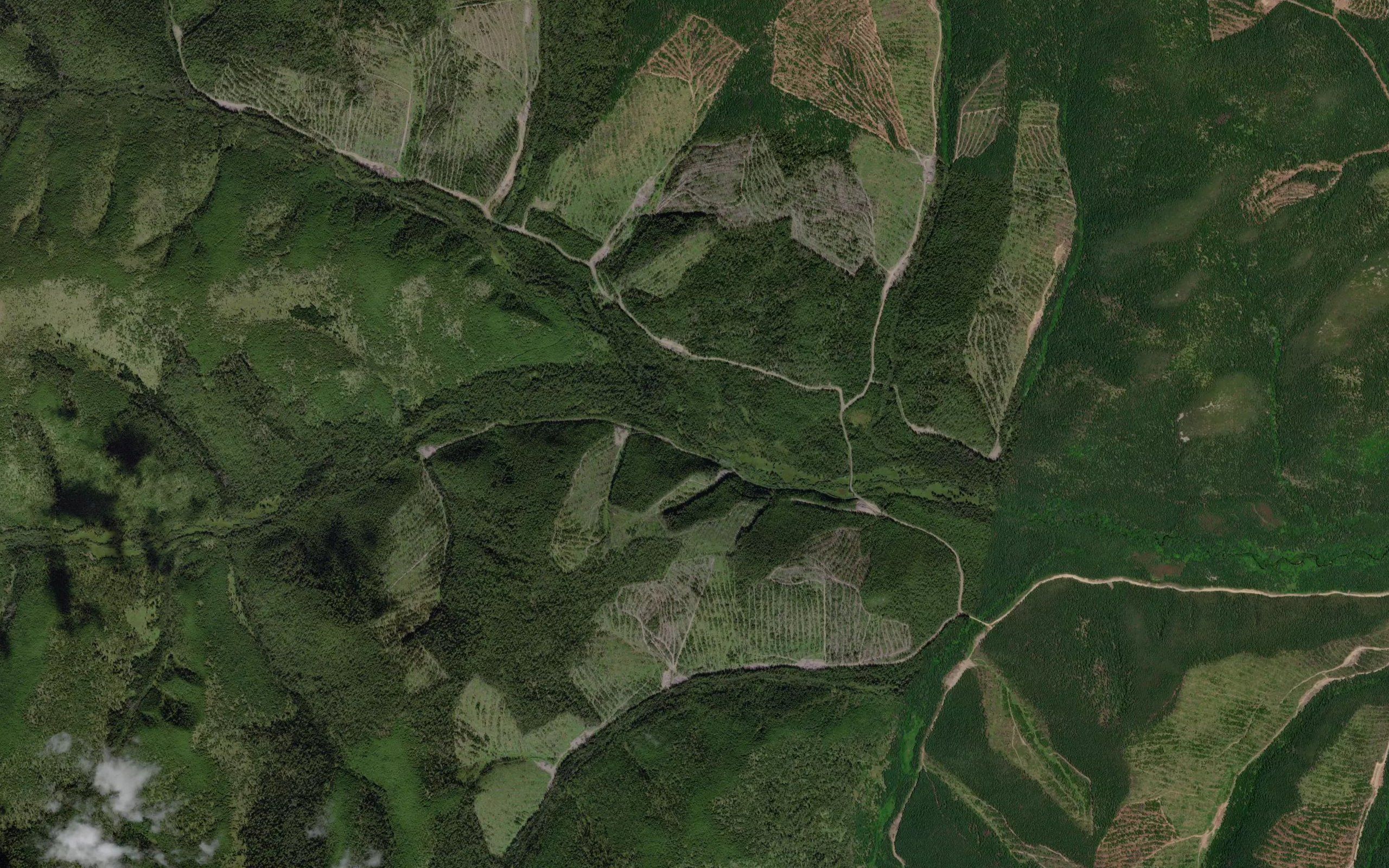 Krasekovskiy