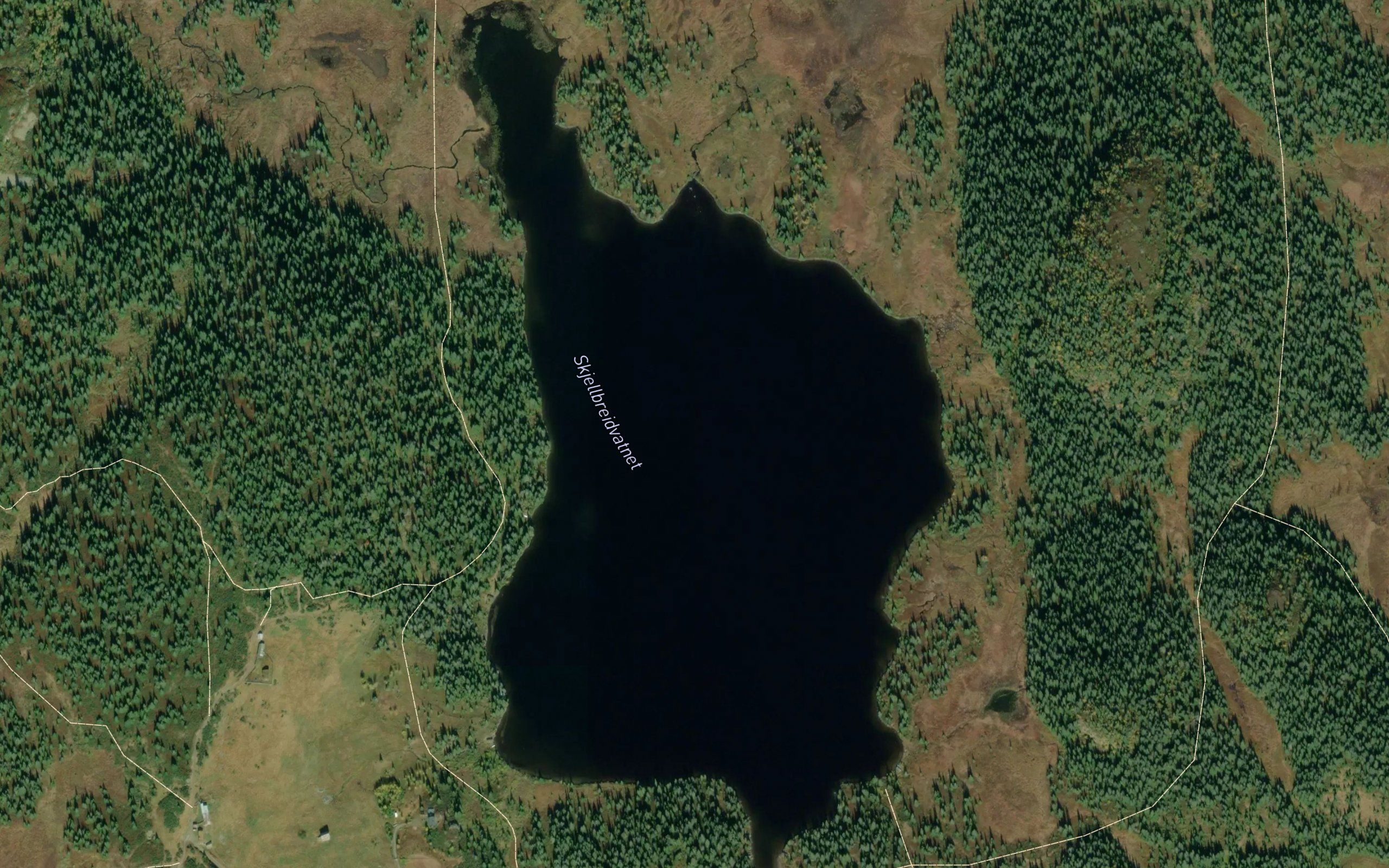 Skjellbreidsvatnet