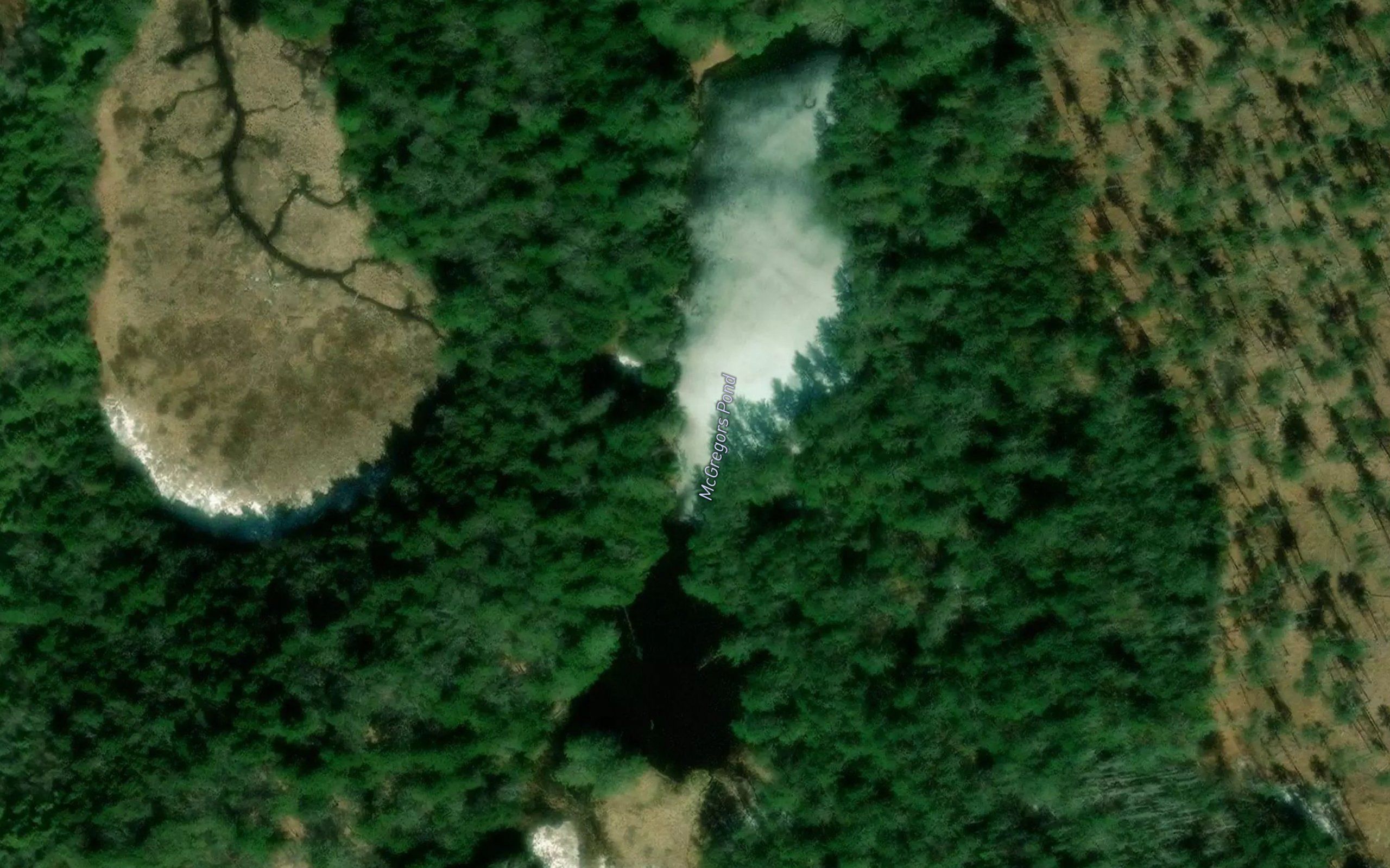 McGregors Pond