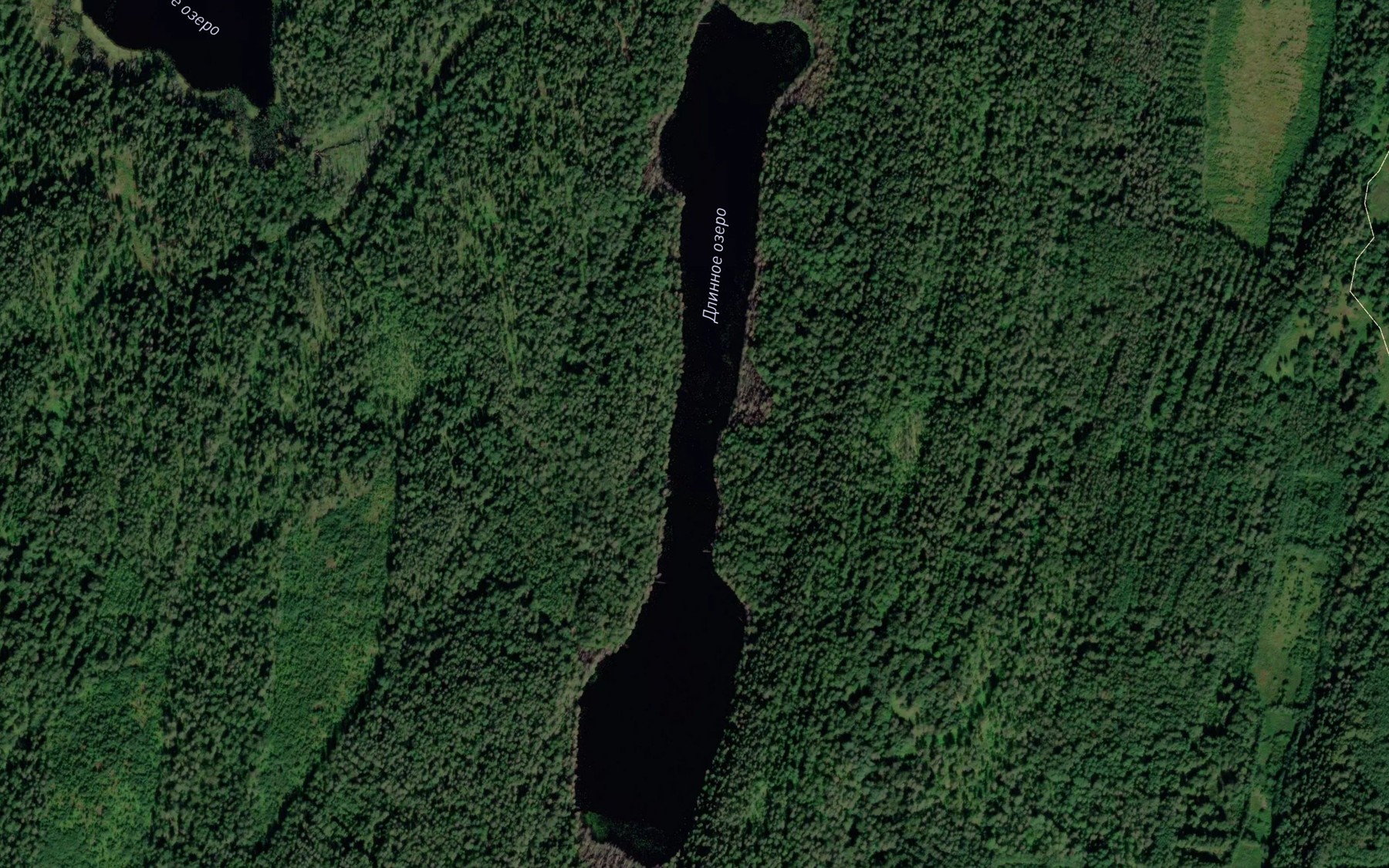 Satellite map of the Ozero Dlinnoye