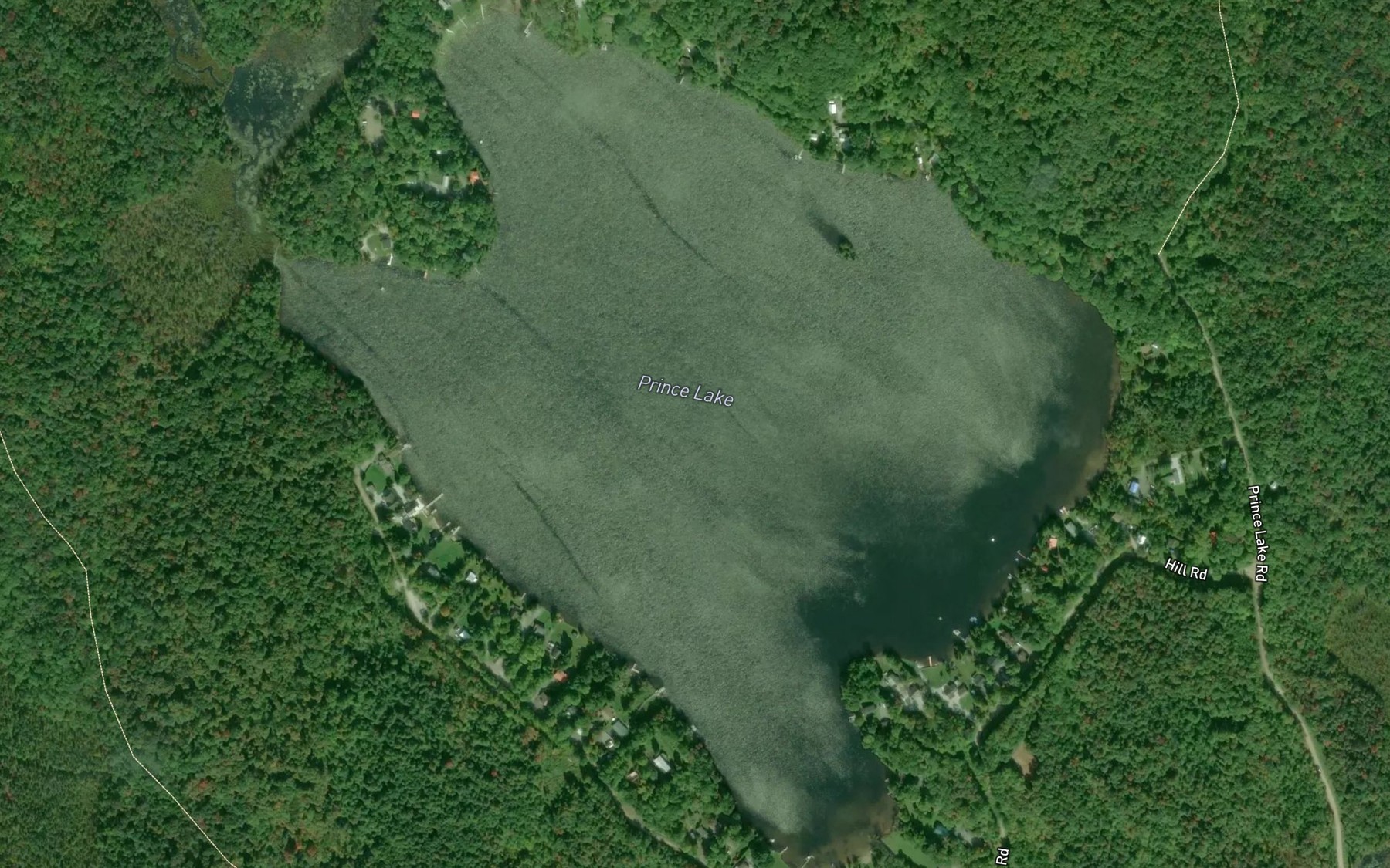 Satellite map of the Prince Lake