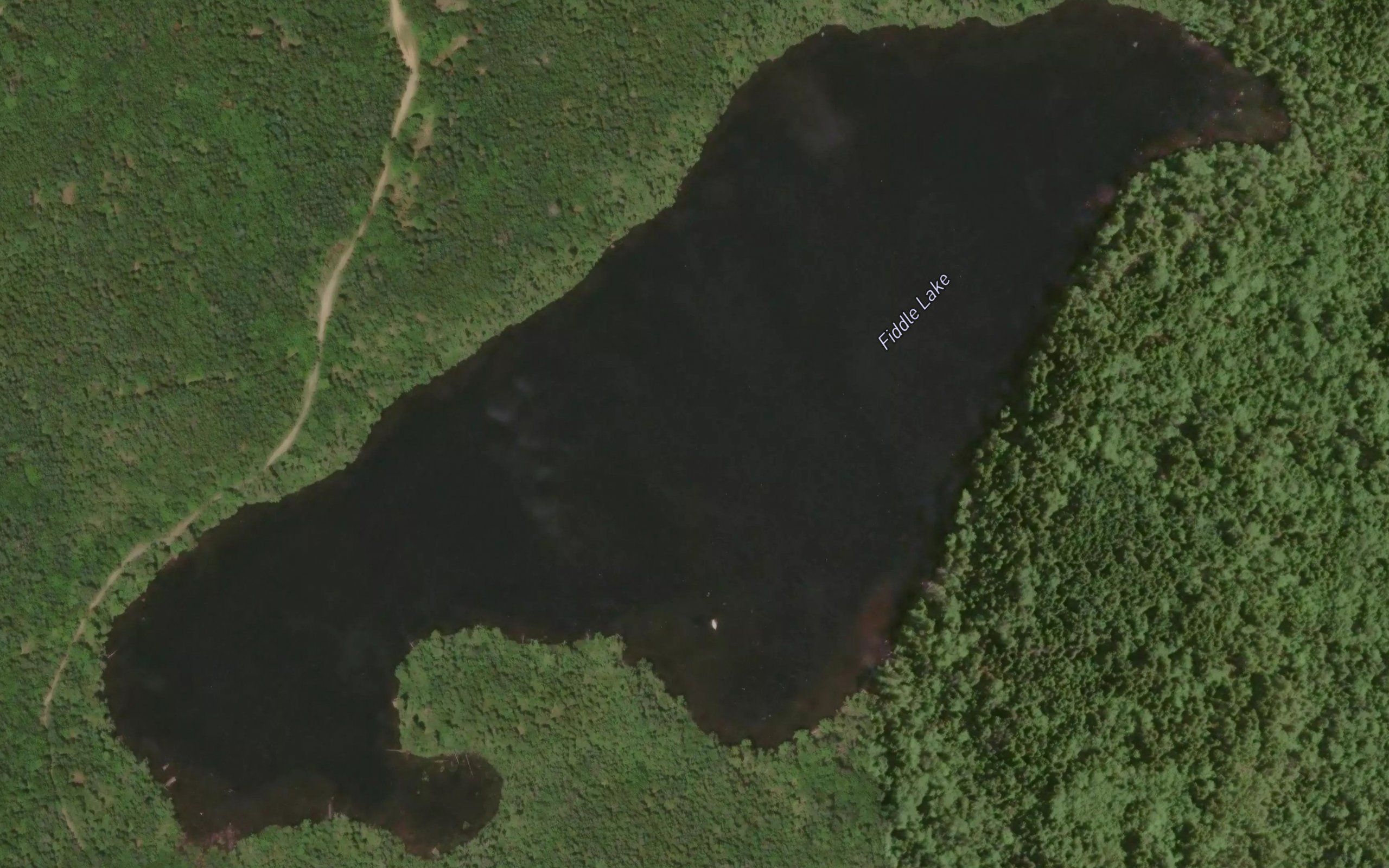 Fiddle Lake