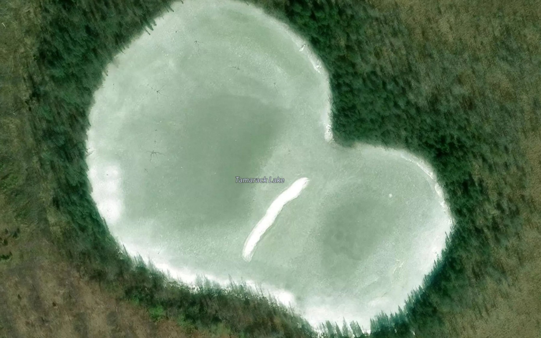 Satellite map of the Tamarack Lake