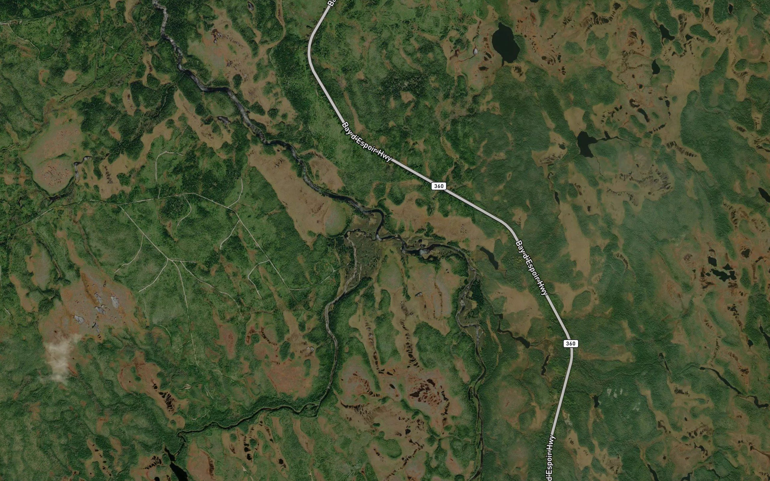 Cat Brook