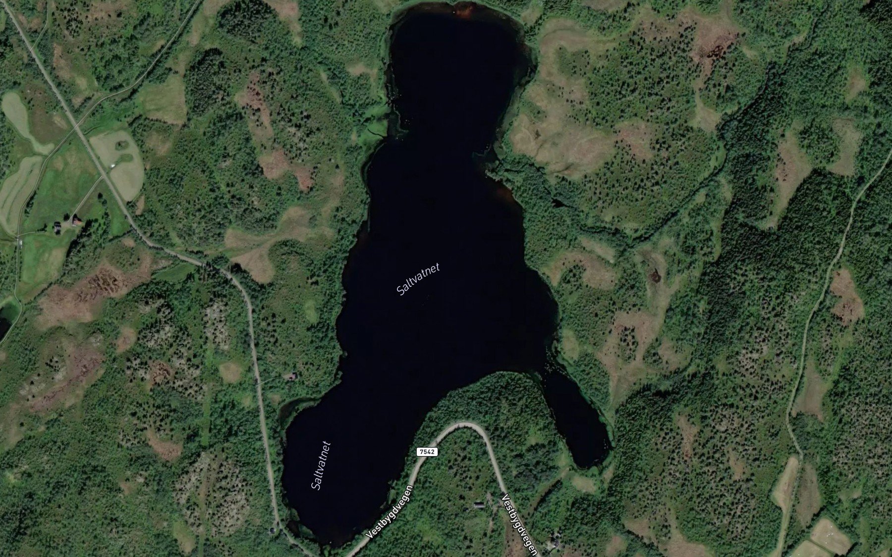Satellite map of the Saltvatnet