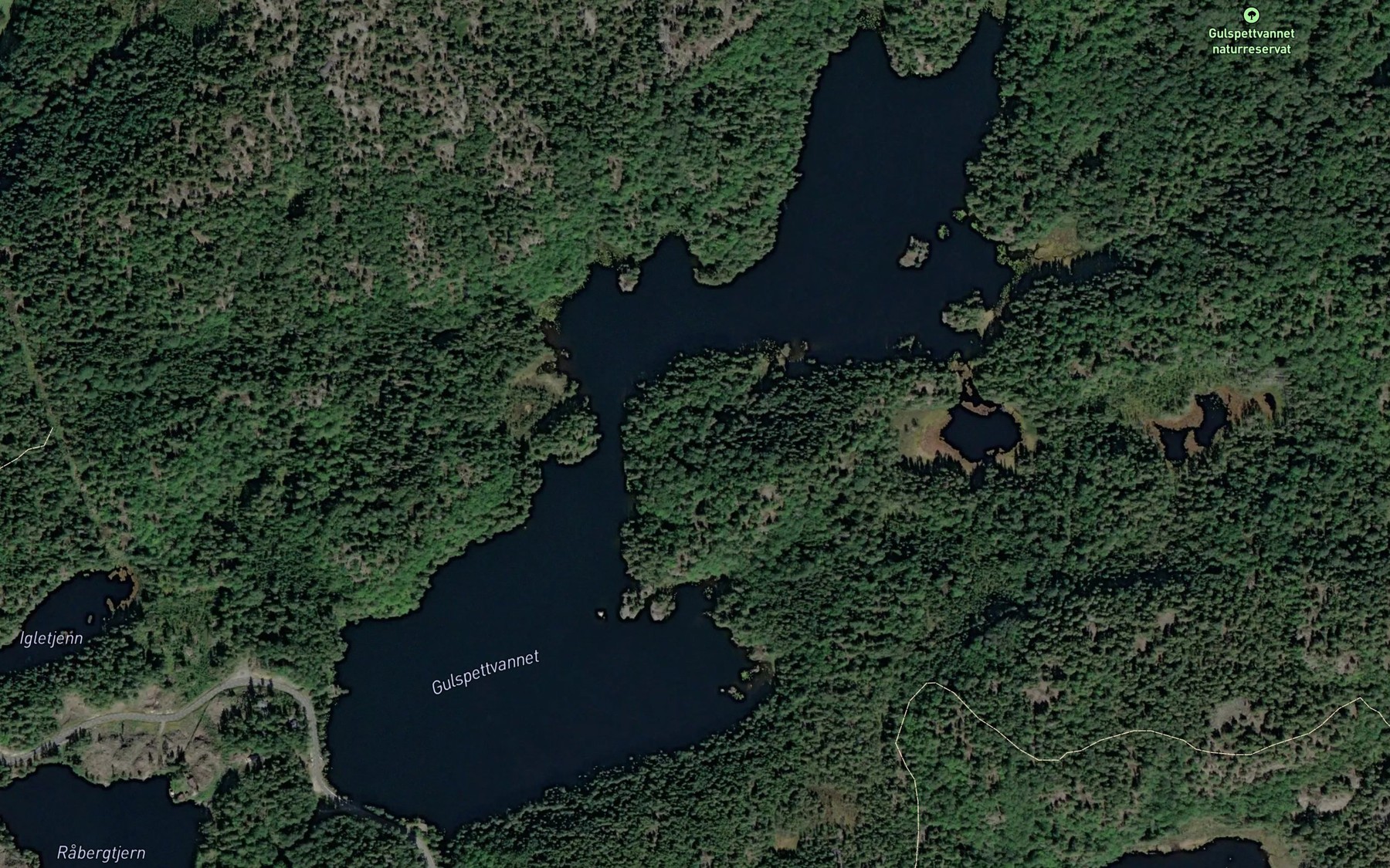 Satellite map of the Gulspettvannet