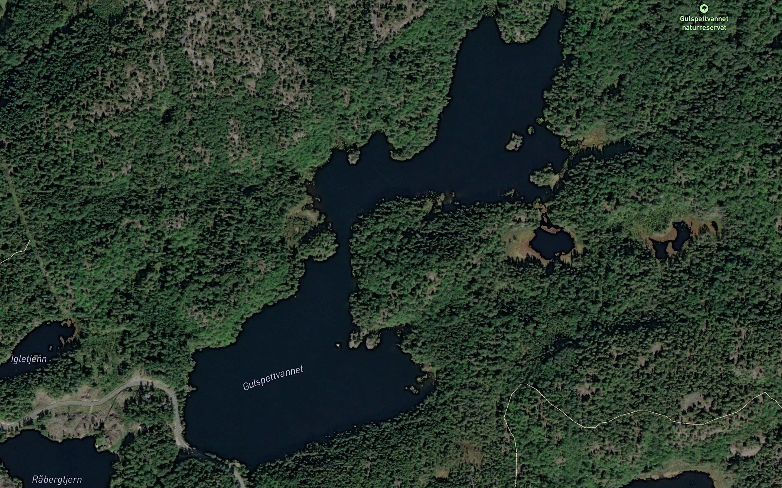 Gulspettvannet