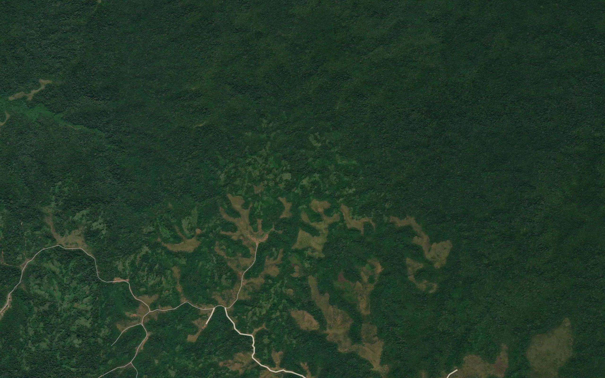 Mafuane