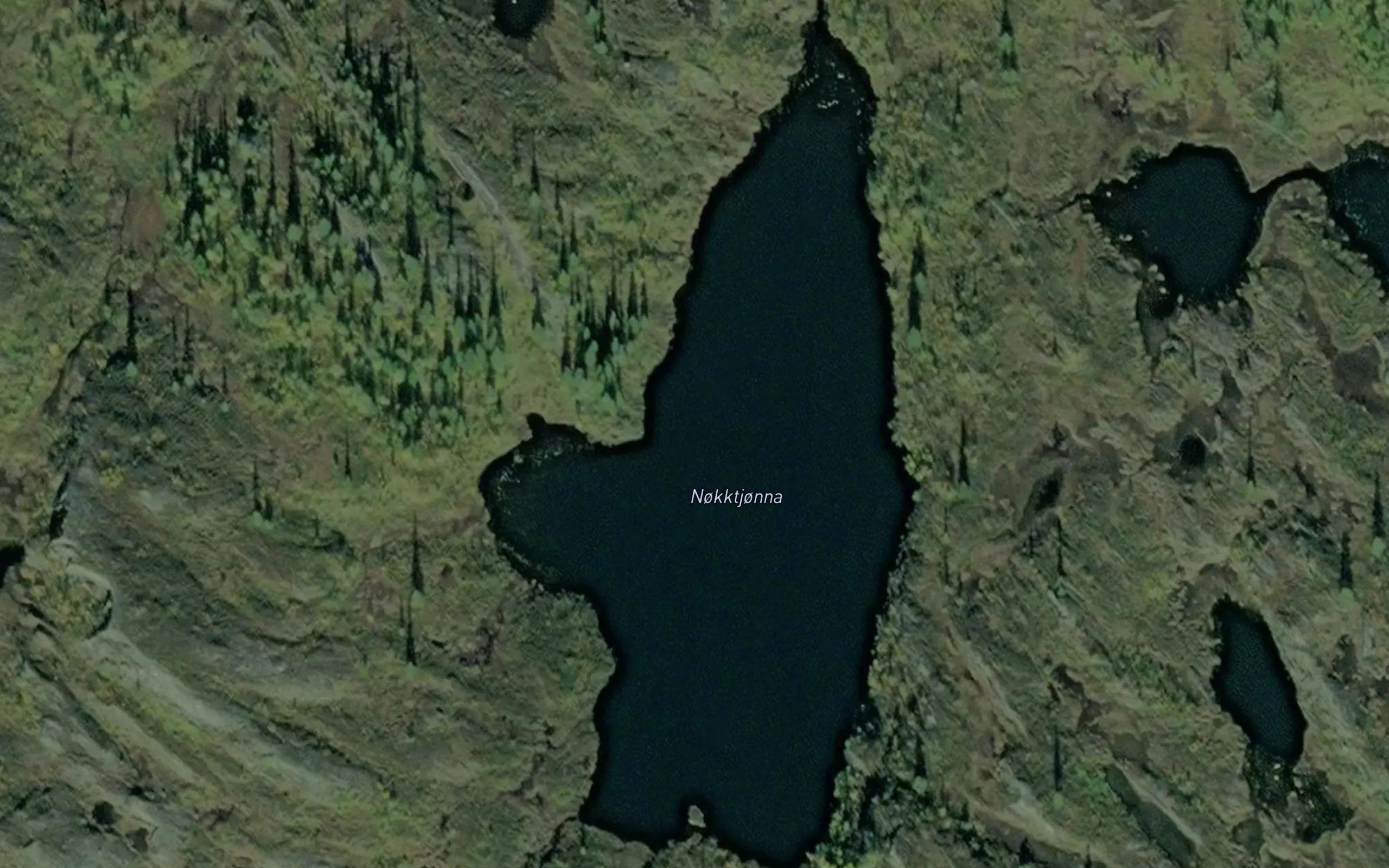 Nokktjorna
