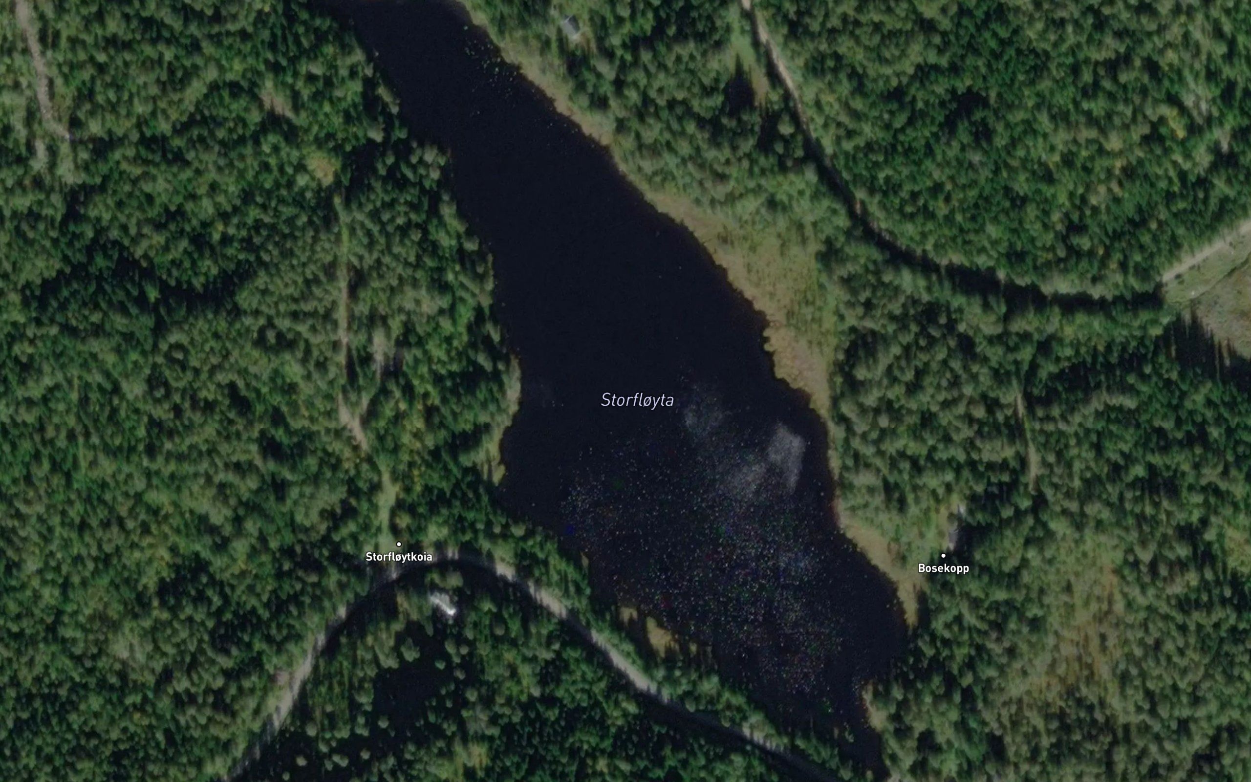Storfloyta