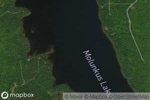 Molunkus Lake