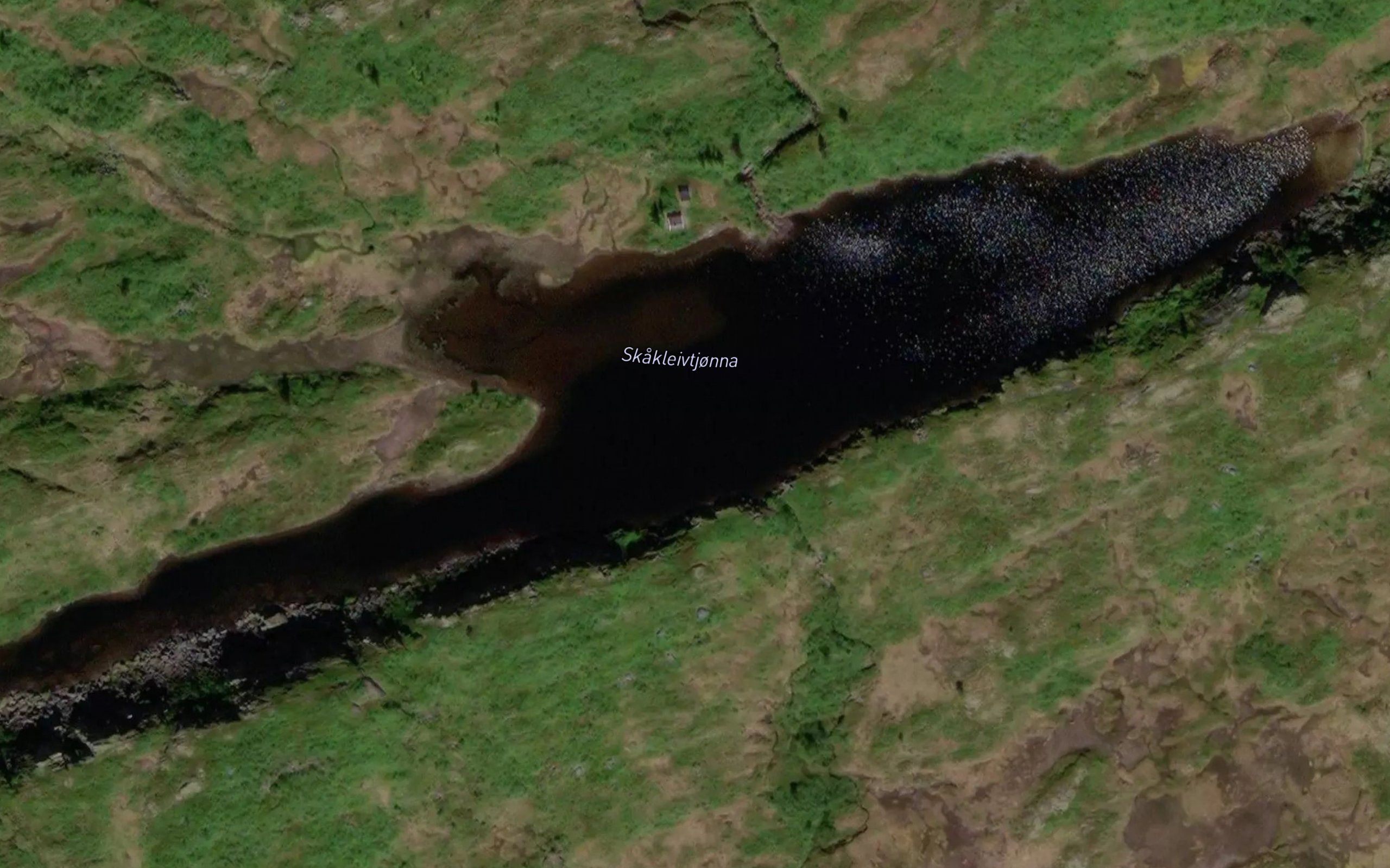 Skakleivtjorna