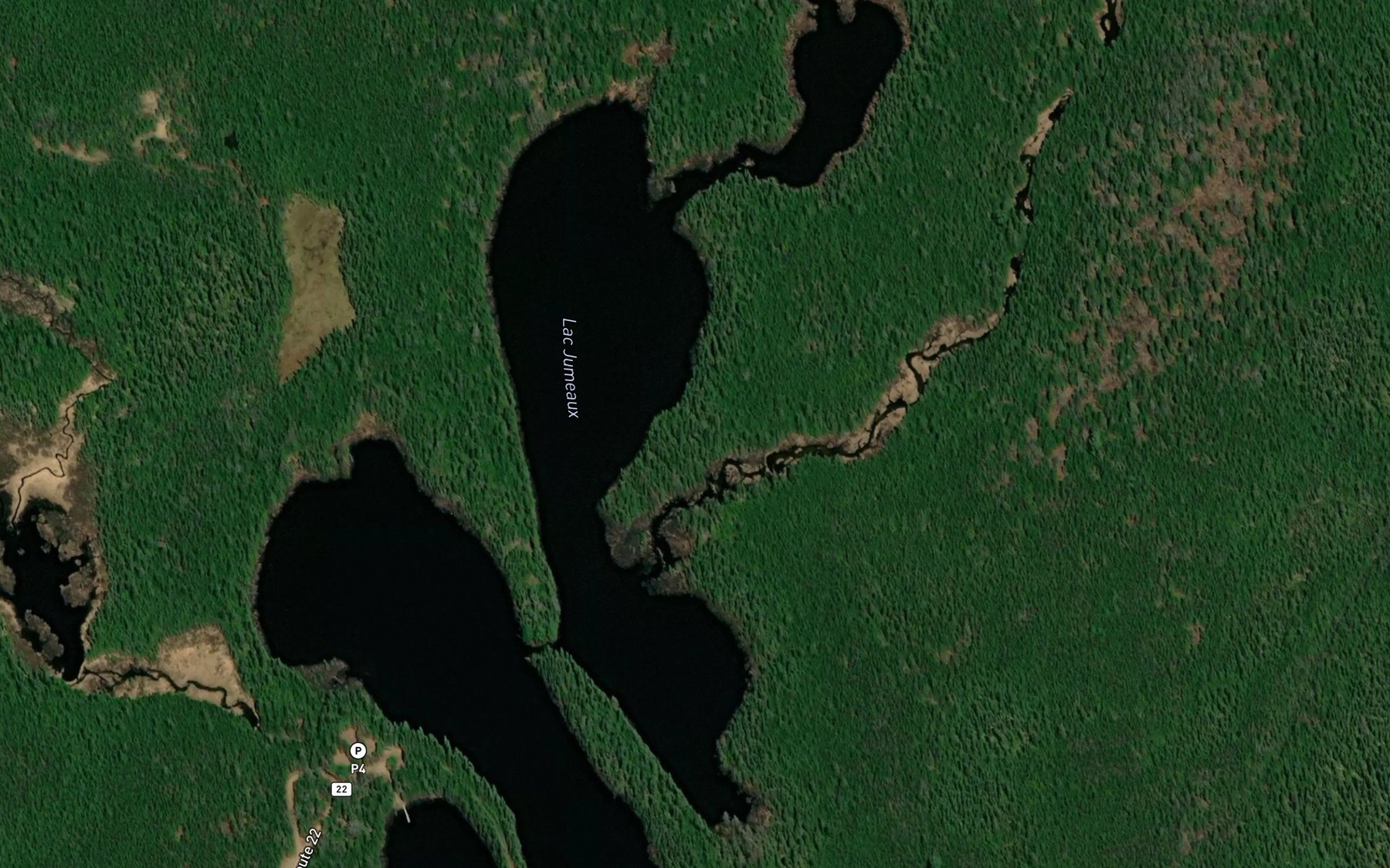 Satellite map of the Lacs Jumeaux