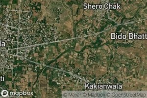 Choai Nala