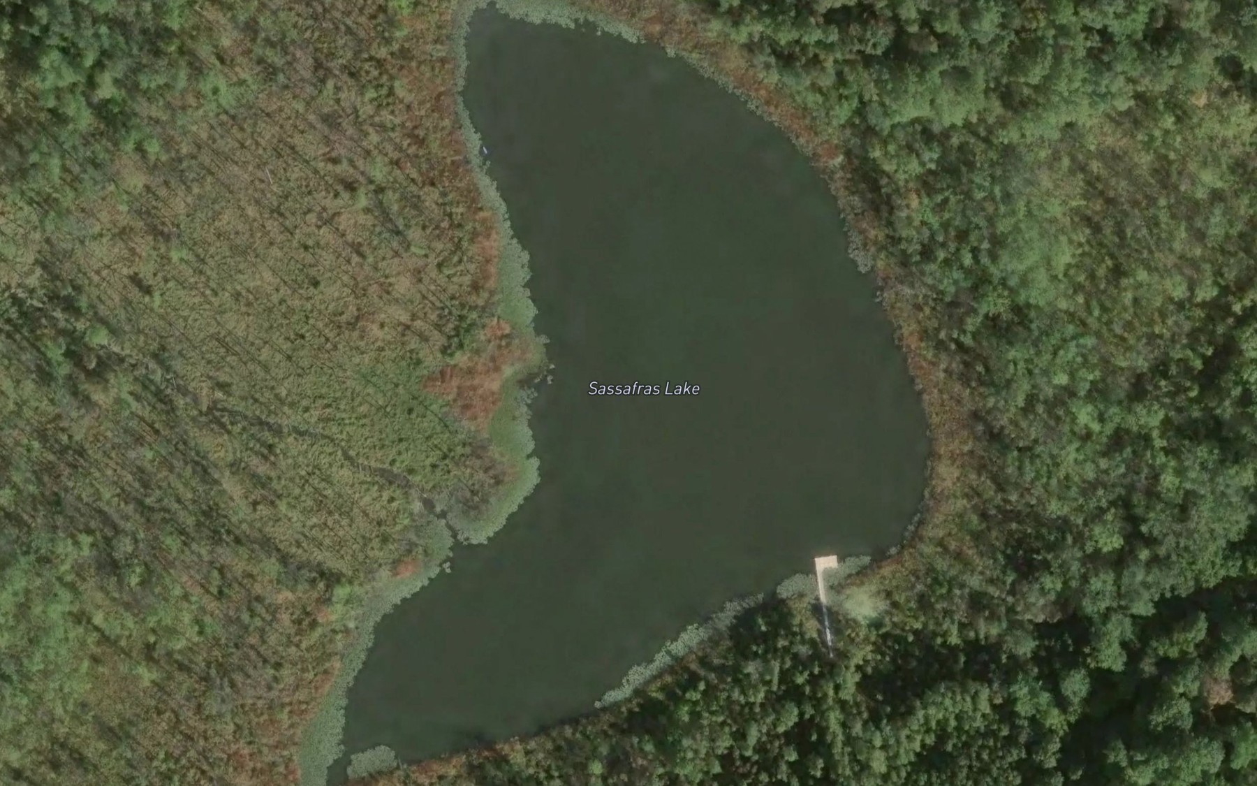 Satellite map of the Sassafras Lake