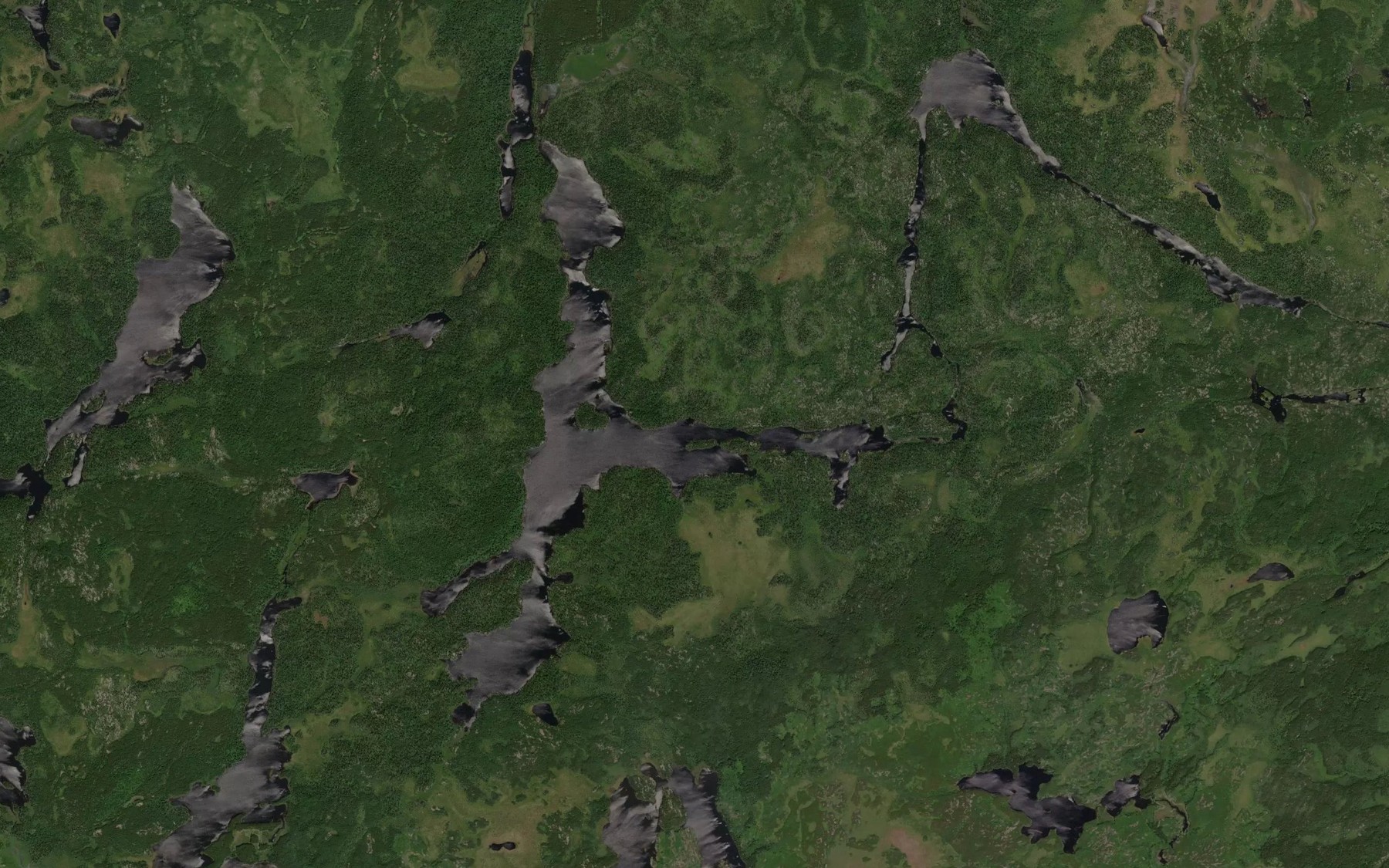 Satellite map of the Leigh Lake