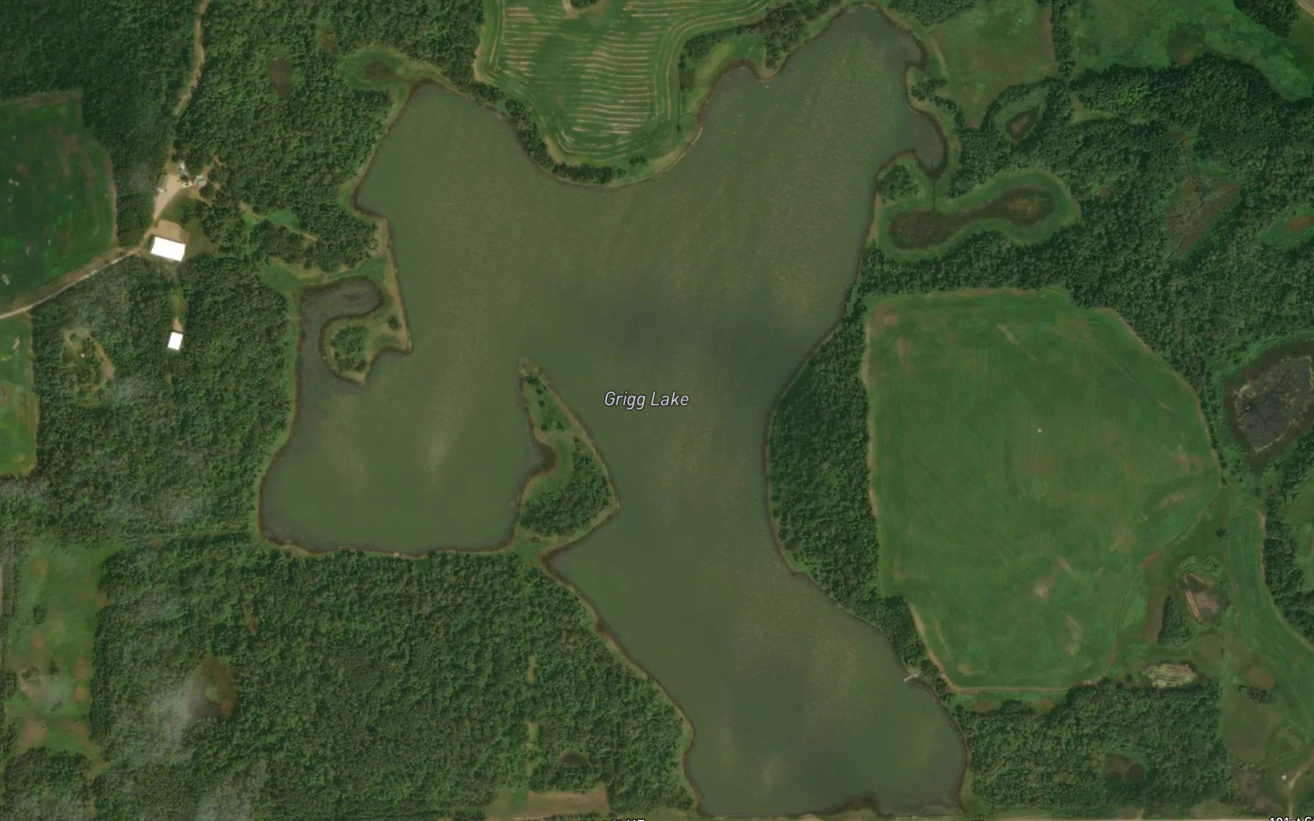 Grigg Lake