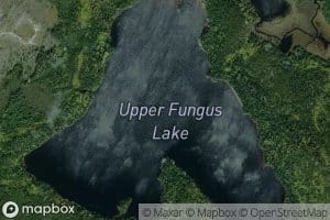 Upper Fungus Lake