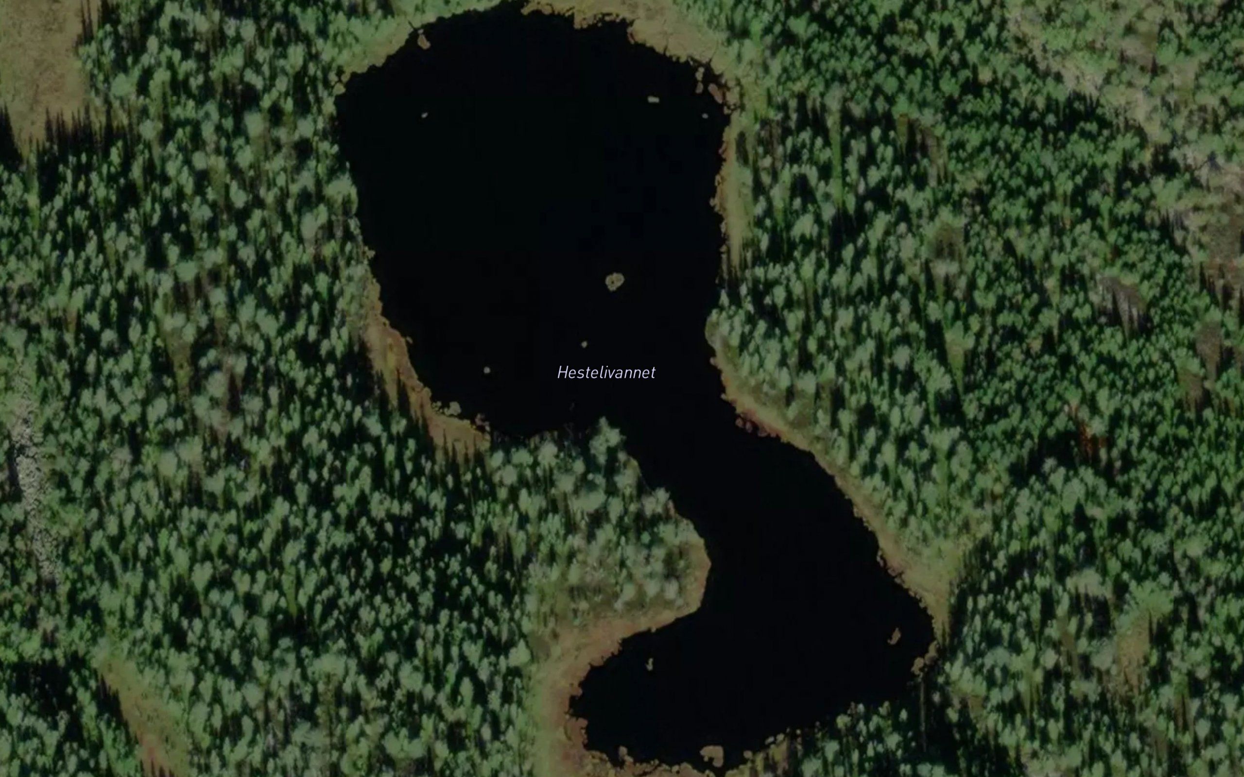 Hestelivannet