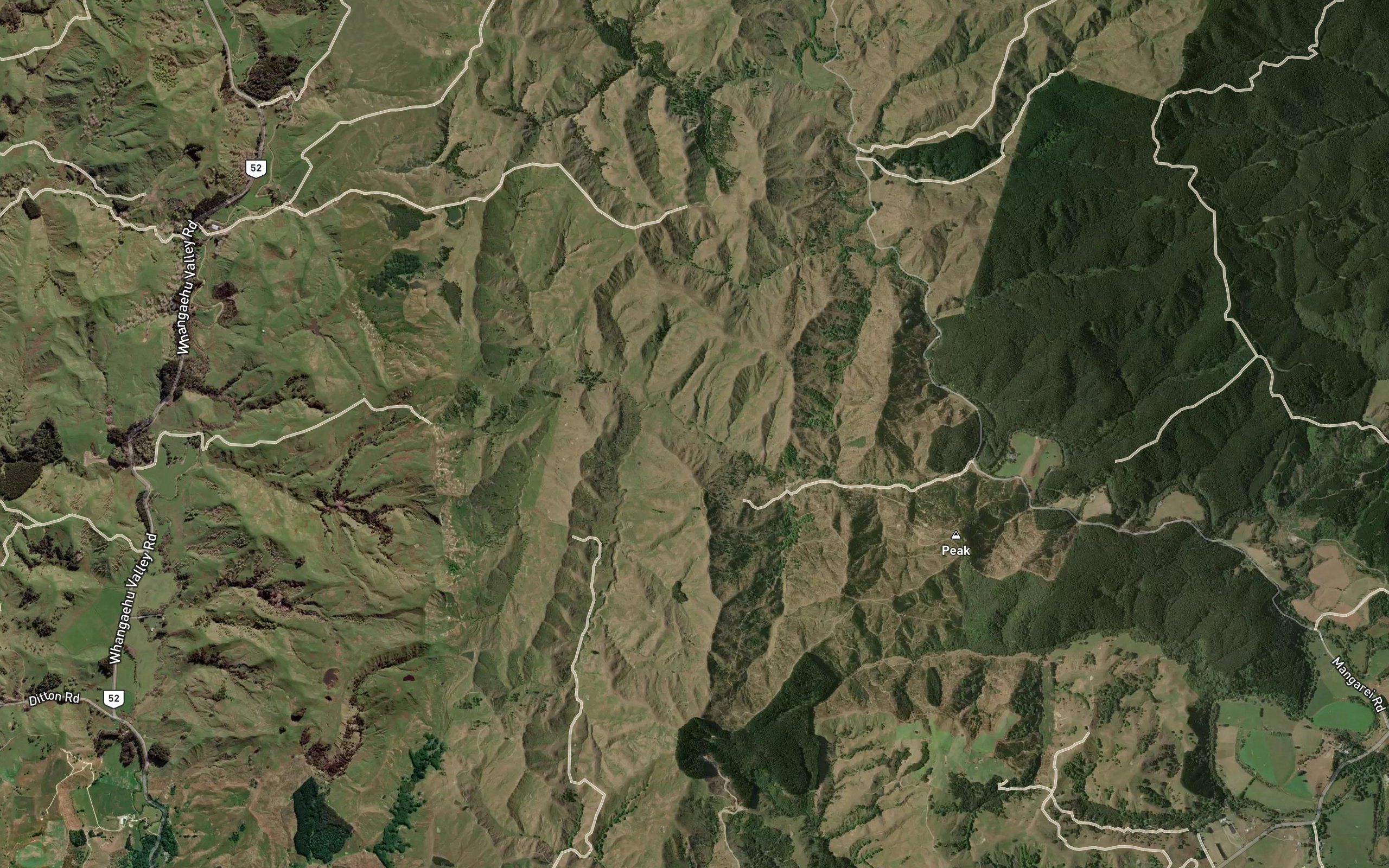 Waipipi Stream