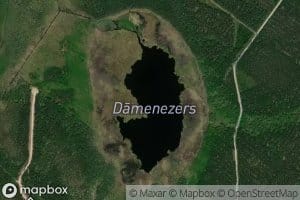 Damenezers
