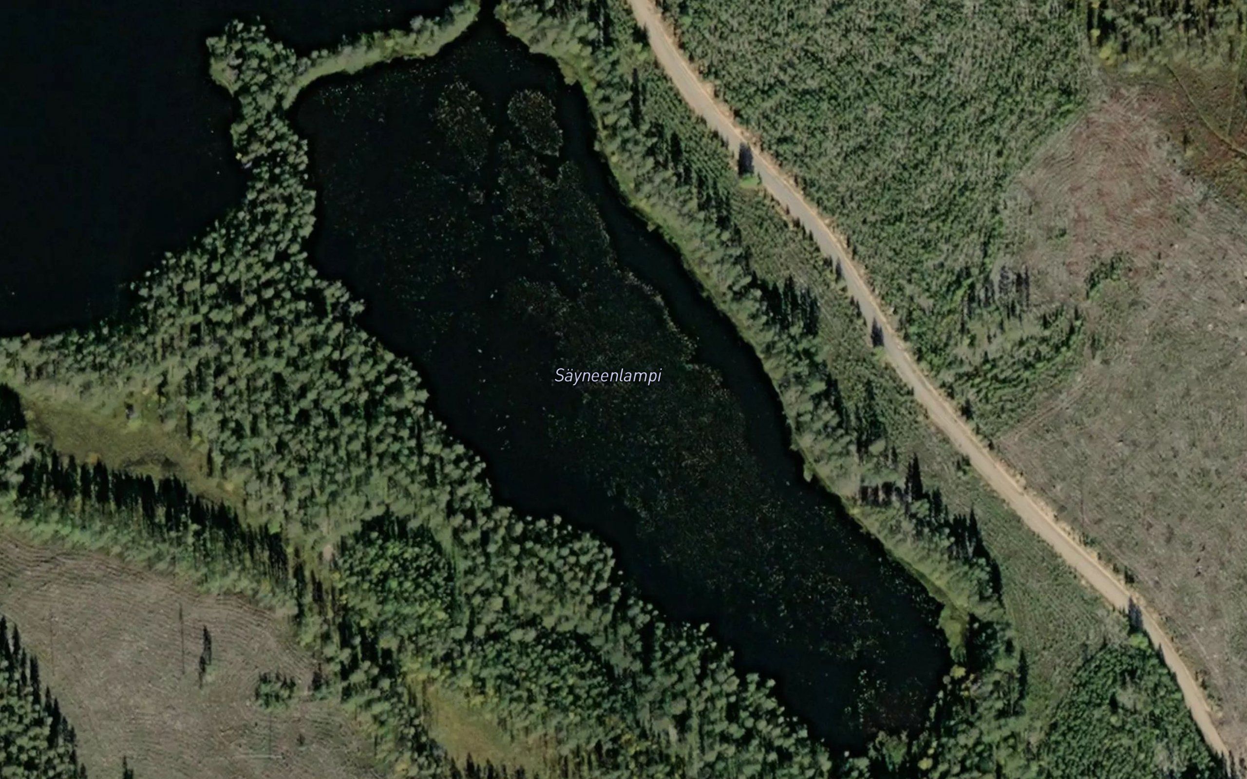 Sayneenlampi