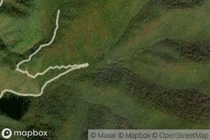 Far Bald Spring Branch