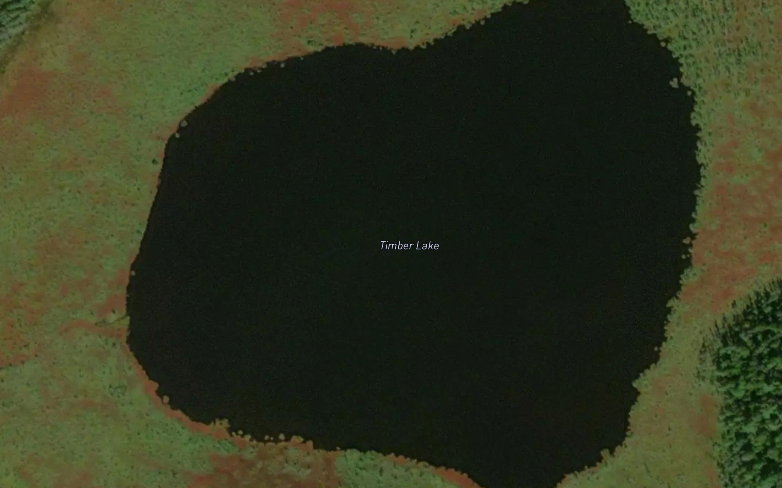 Timber Lake