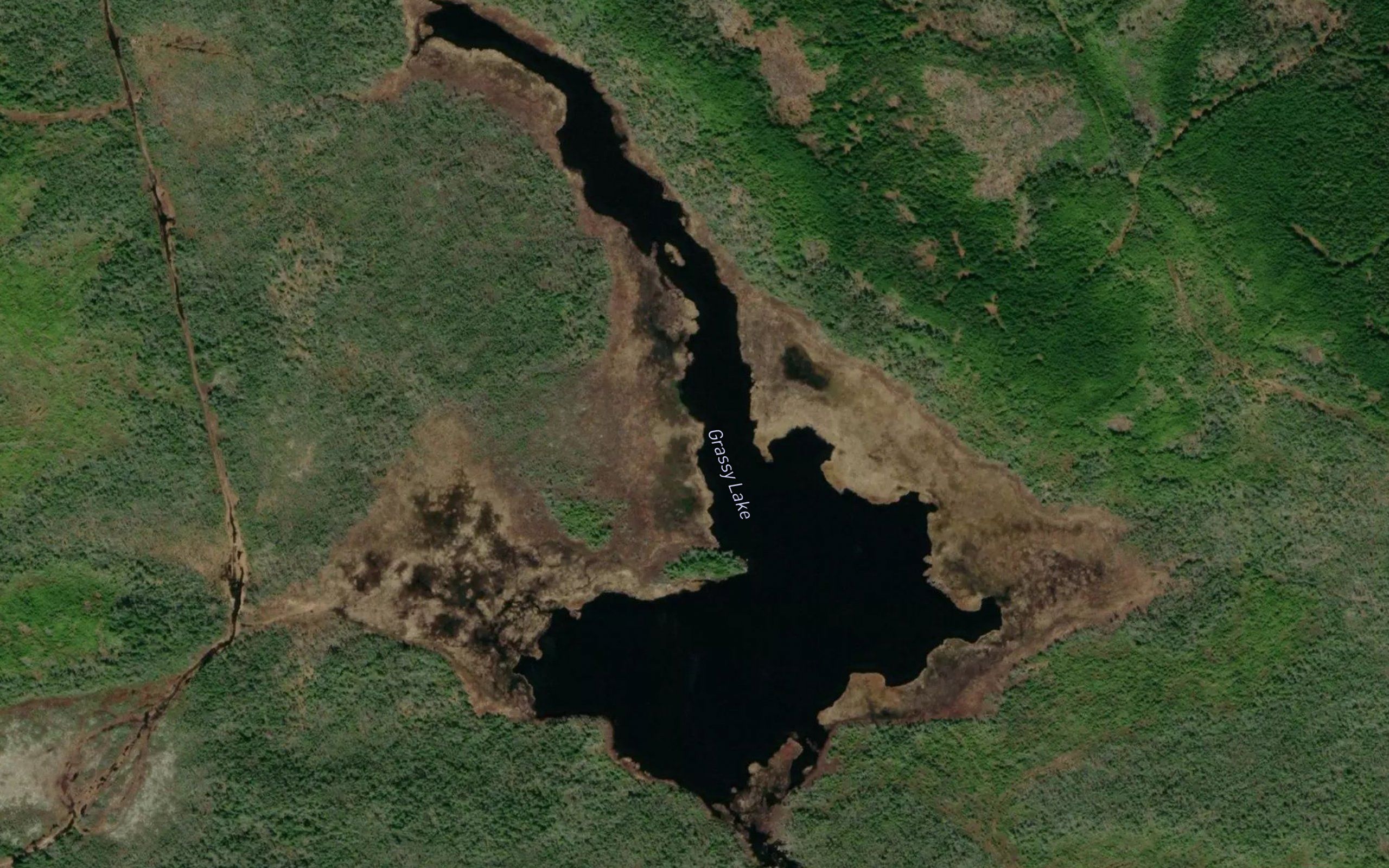 Grassy Lake