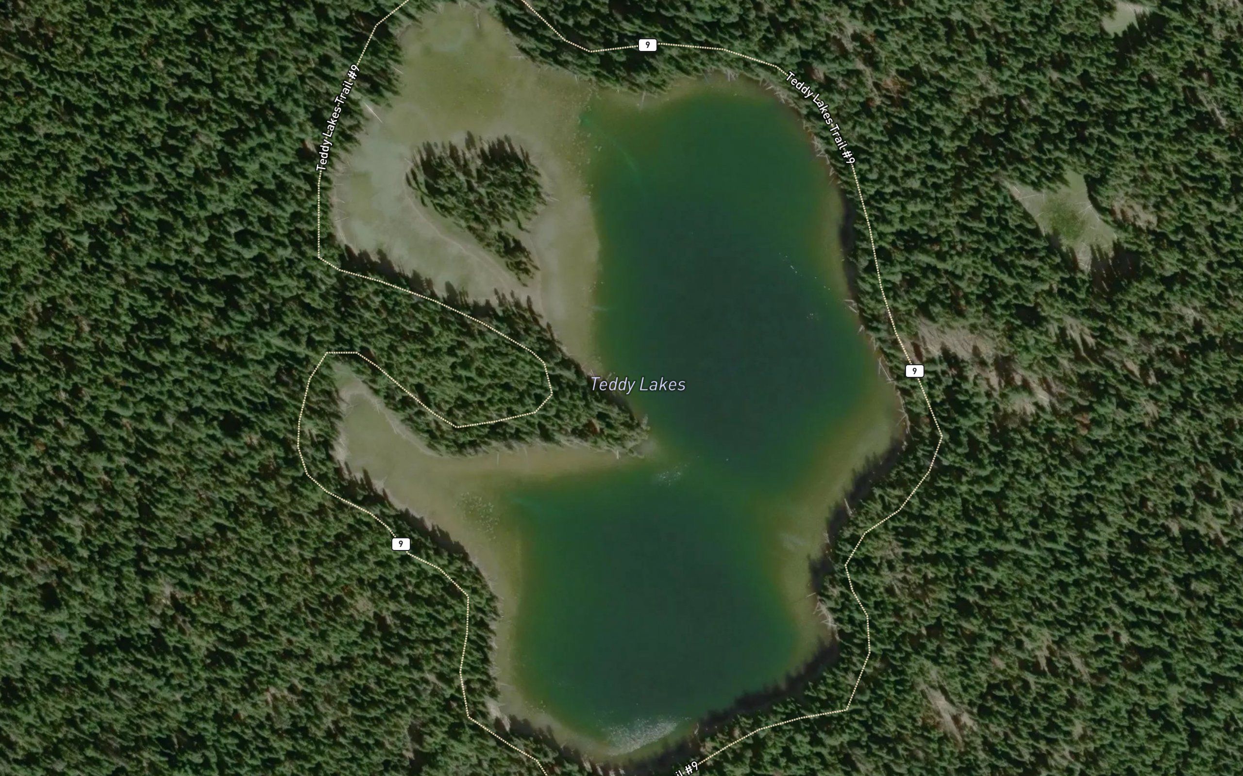 Teddy Lakes
