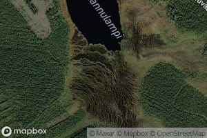 Hannulampi