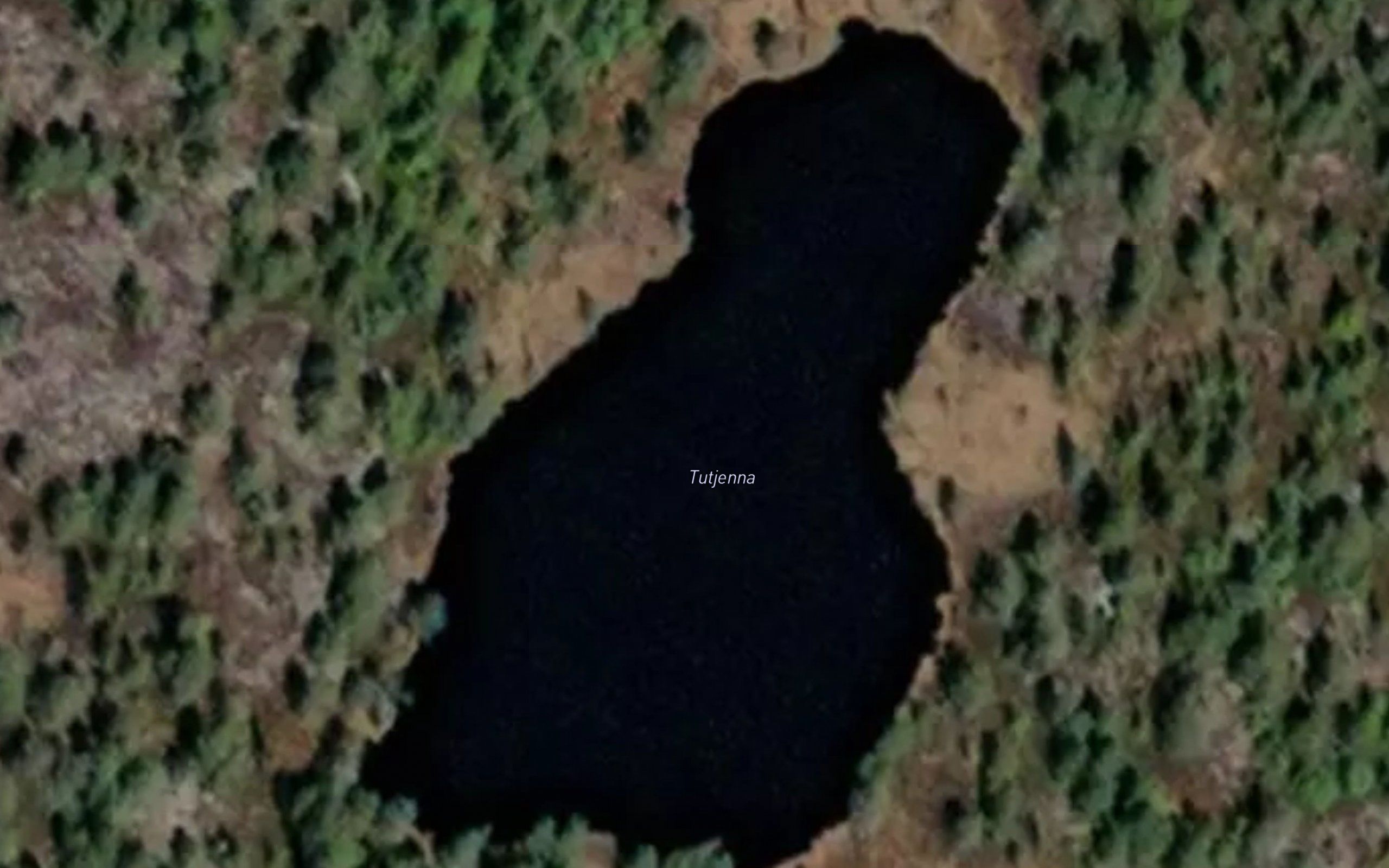 Tutjerna