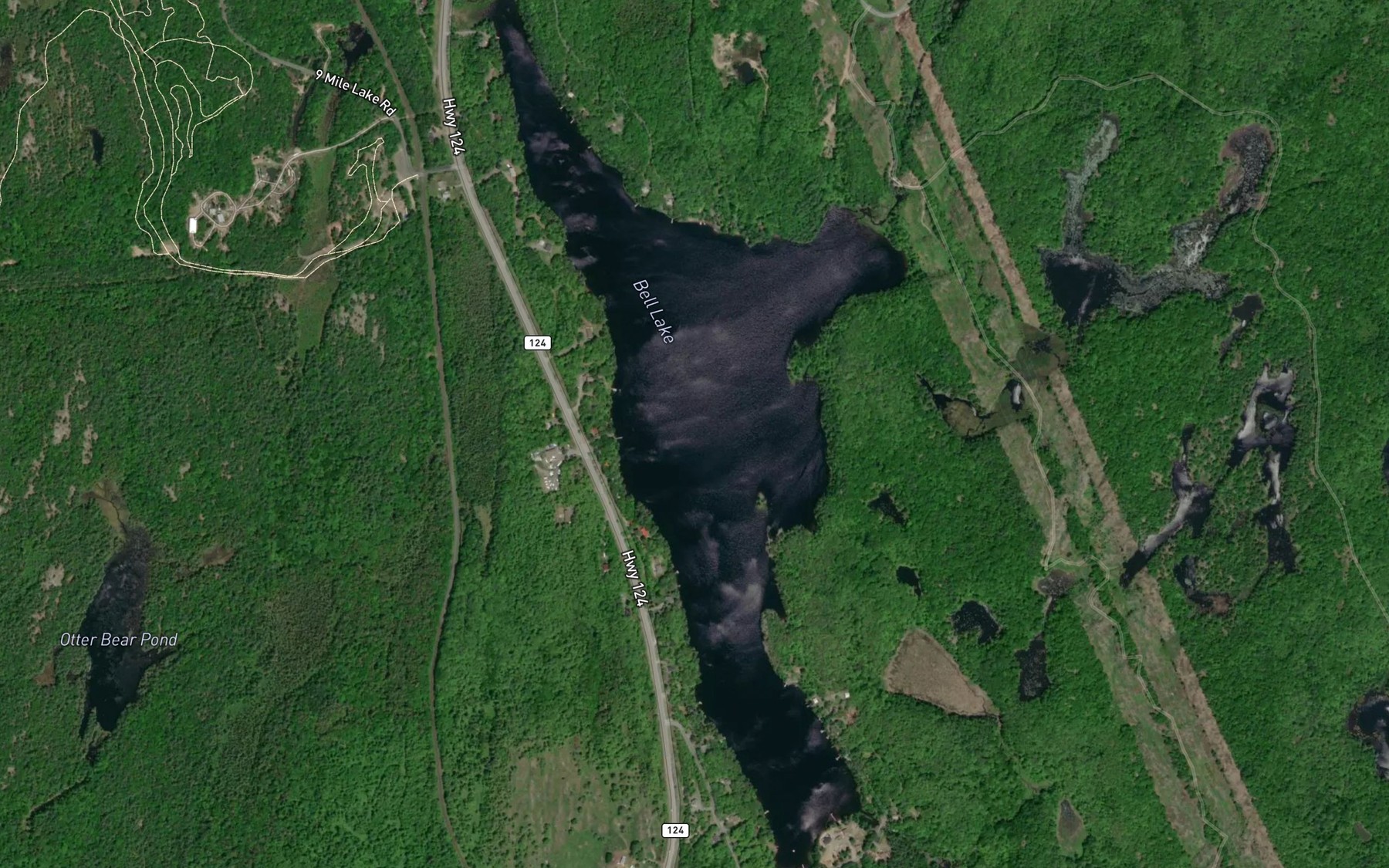 Satellite map of the Bell Lake