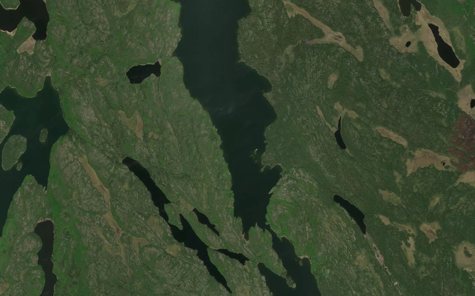 Satellite map of the Russick Lake