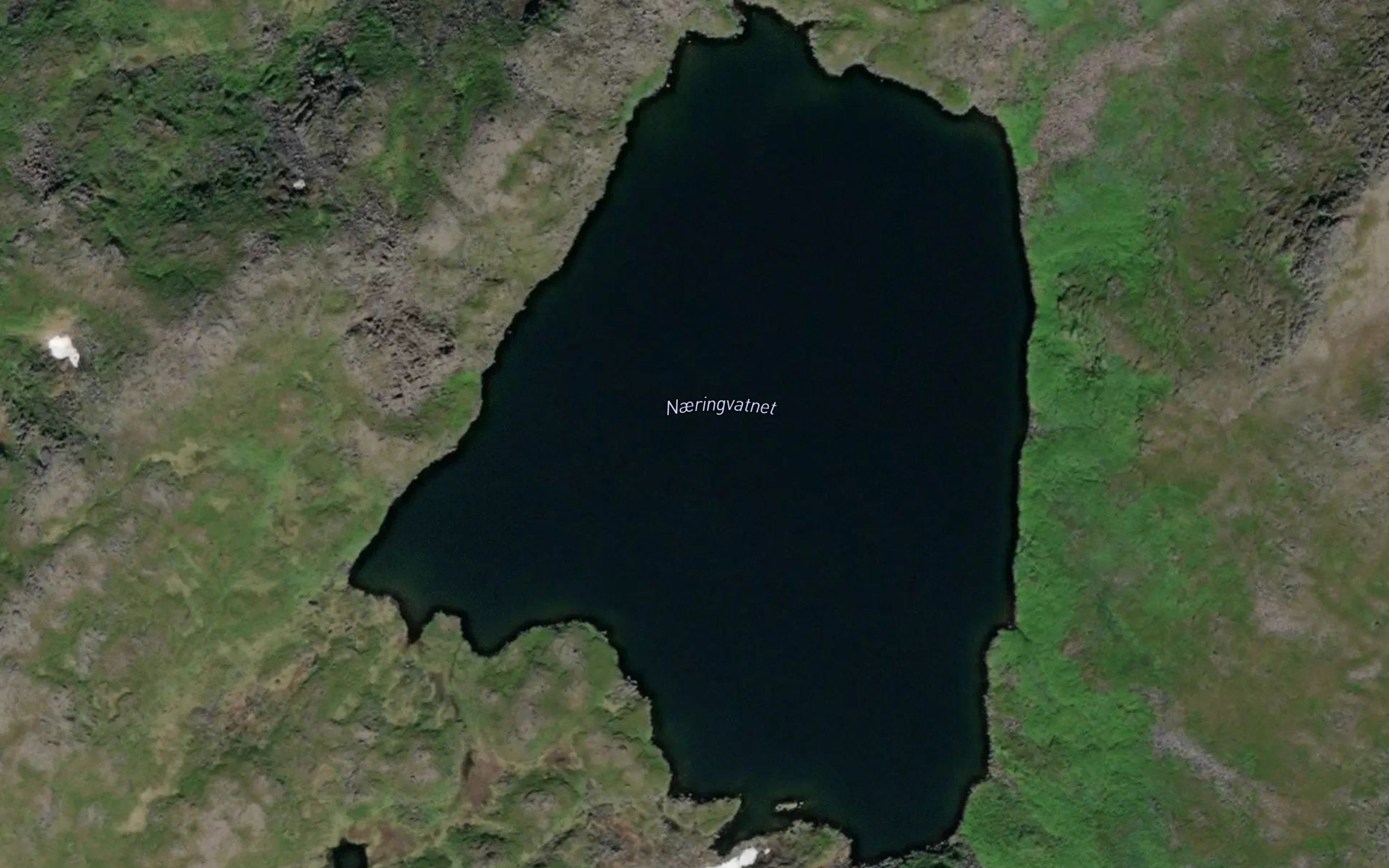 Naeringvatnet