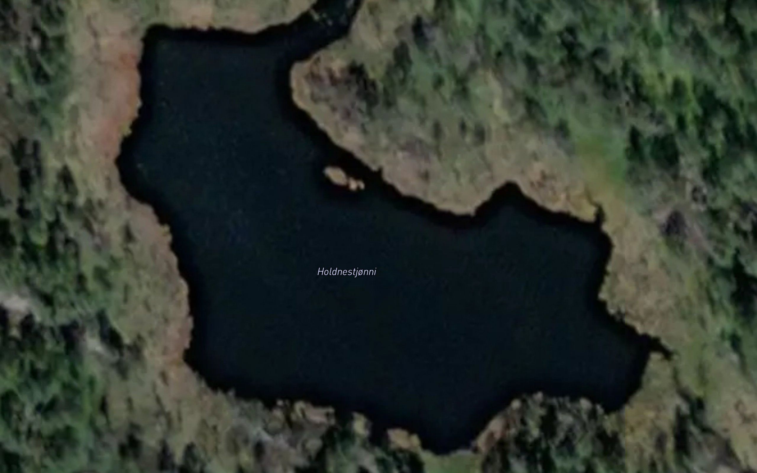 Holdnestjorni