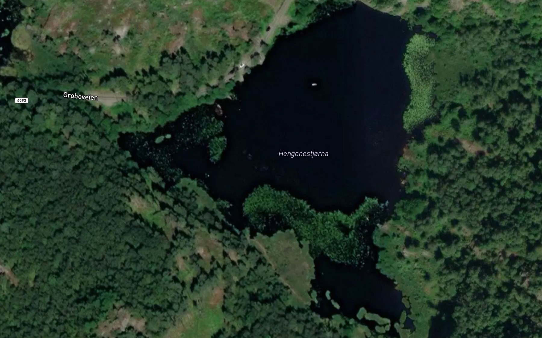 Satellite map of the Hengenesvannet