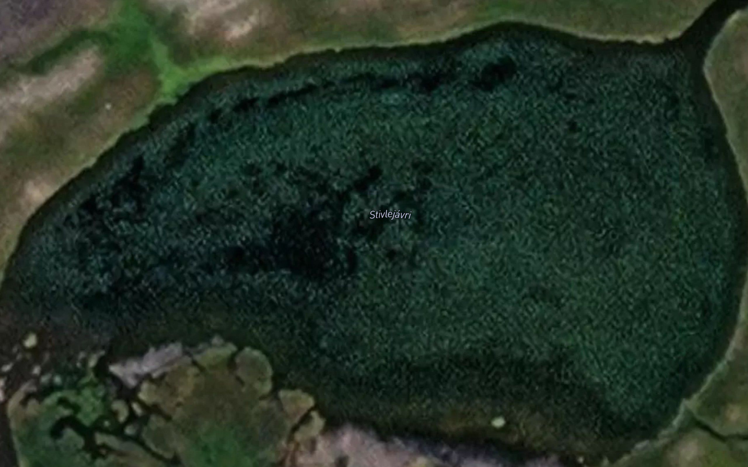 Stivlejavri