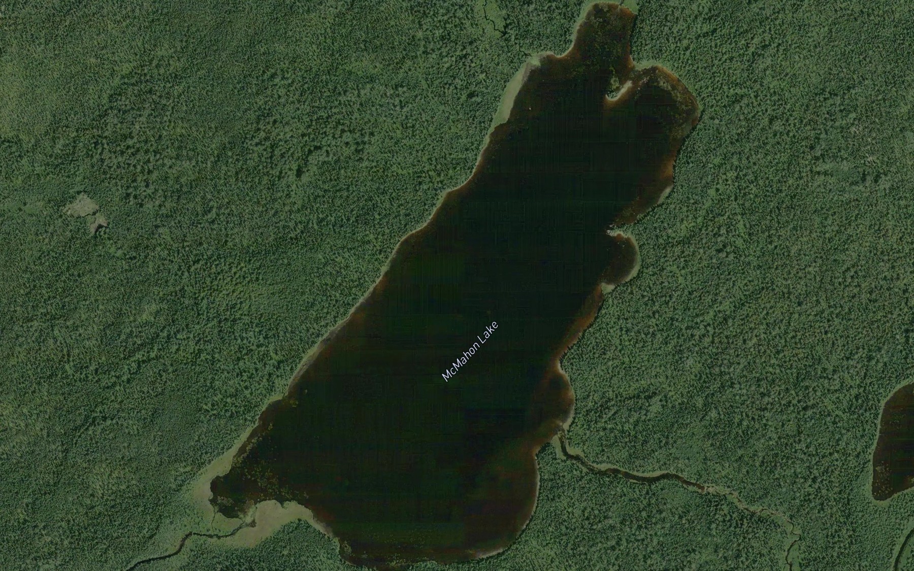 Satellite map of the McMahon Lake