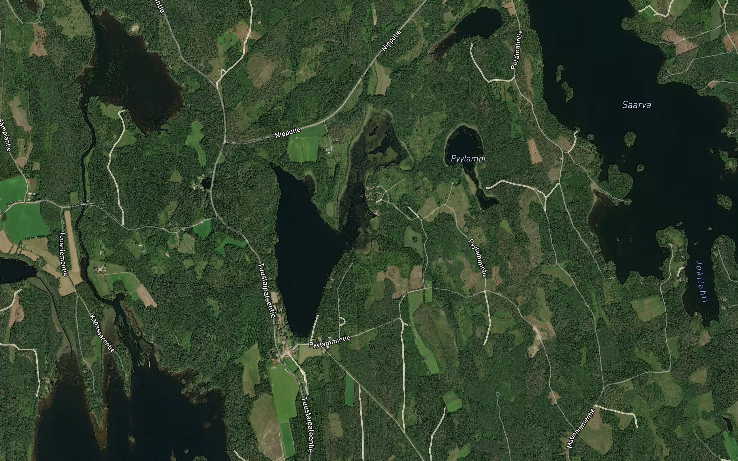 Levalamminoja