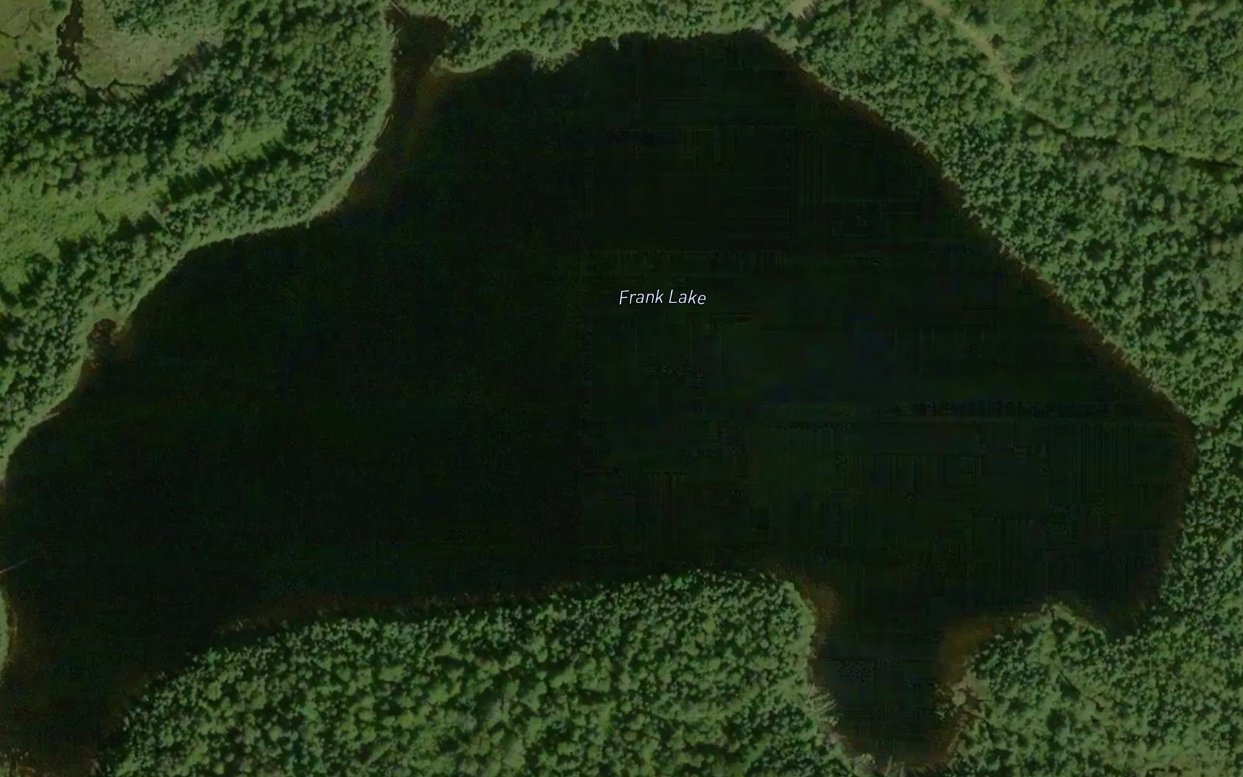 Satellite map of the Frank Lake