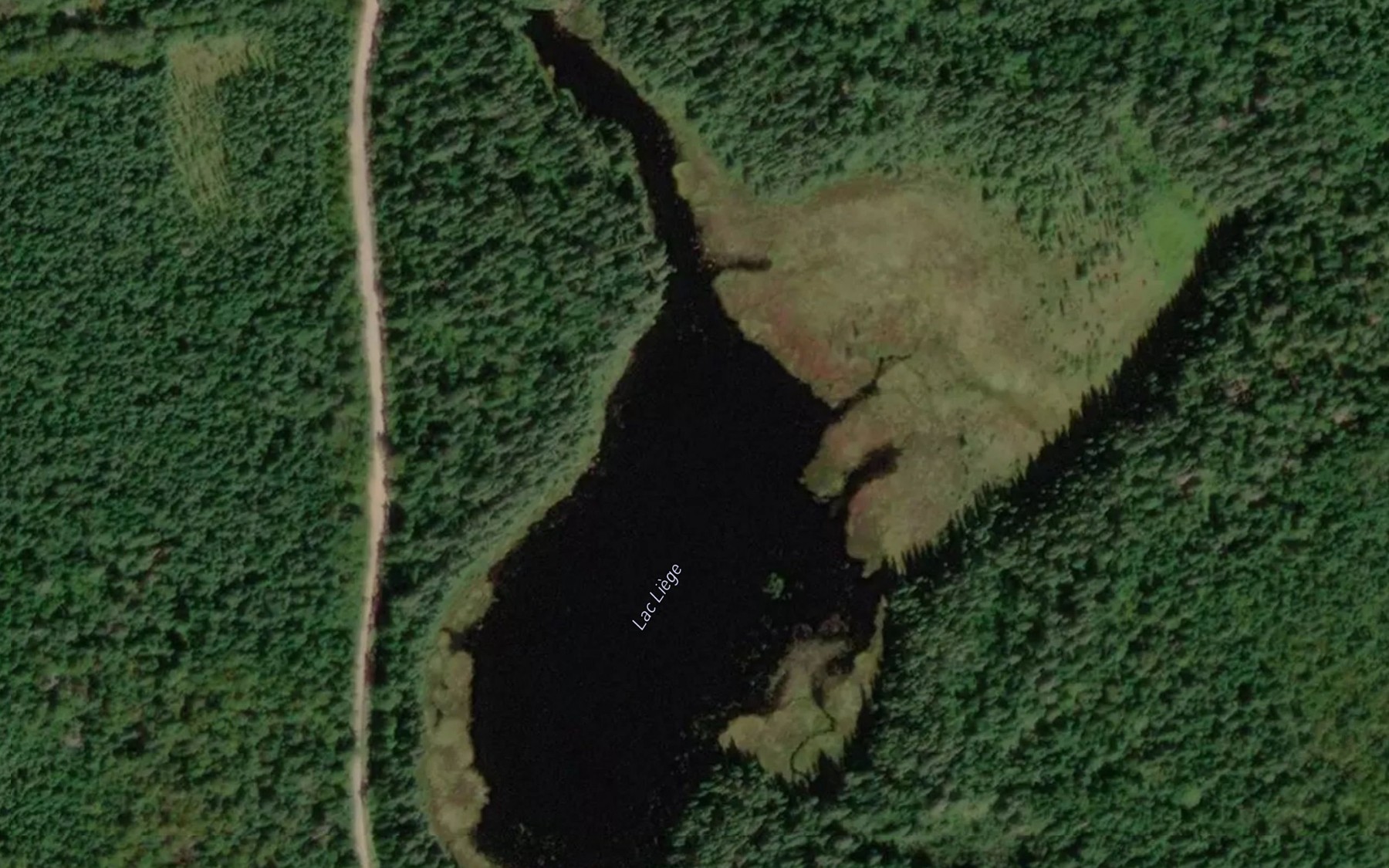 Satellite map of the Lac Liege