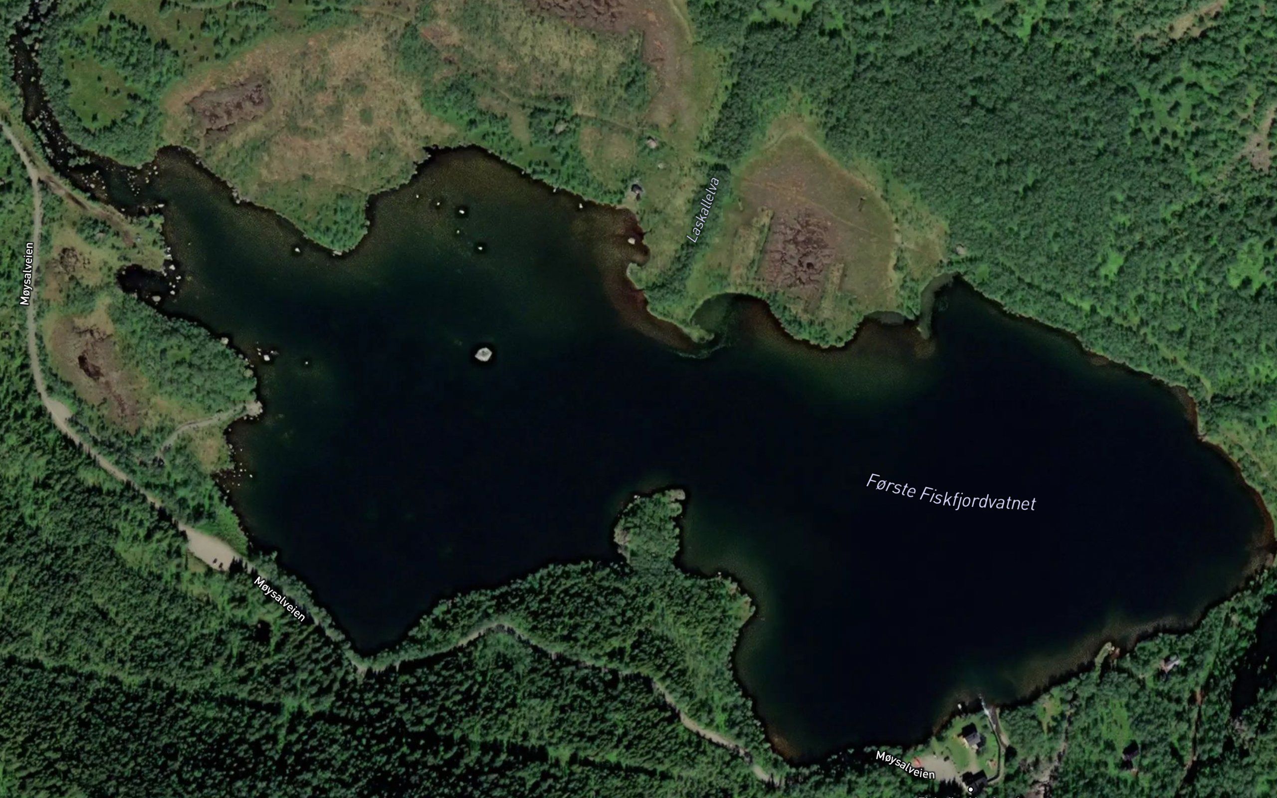 Forste Fiskfjordvatnet