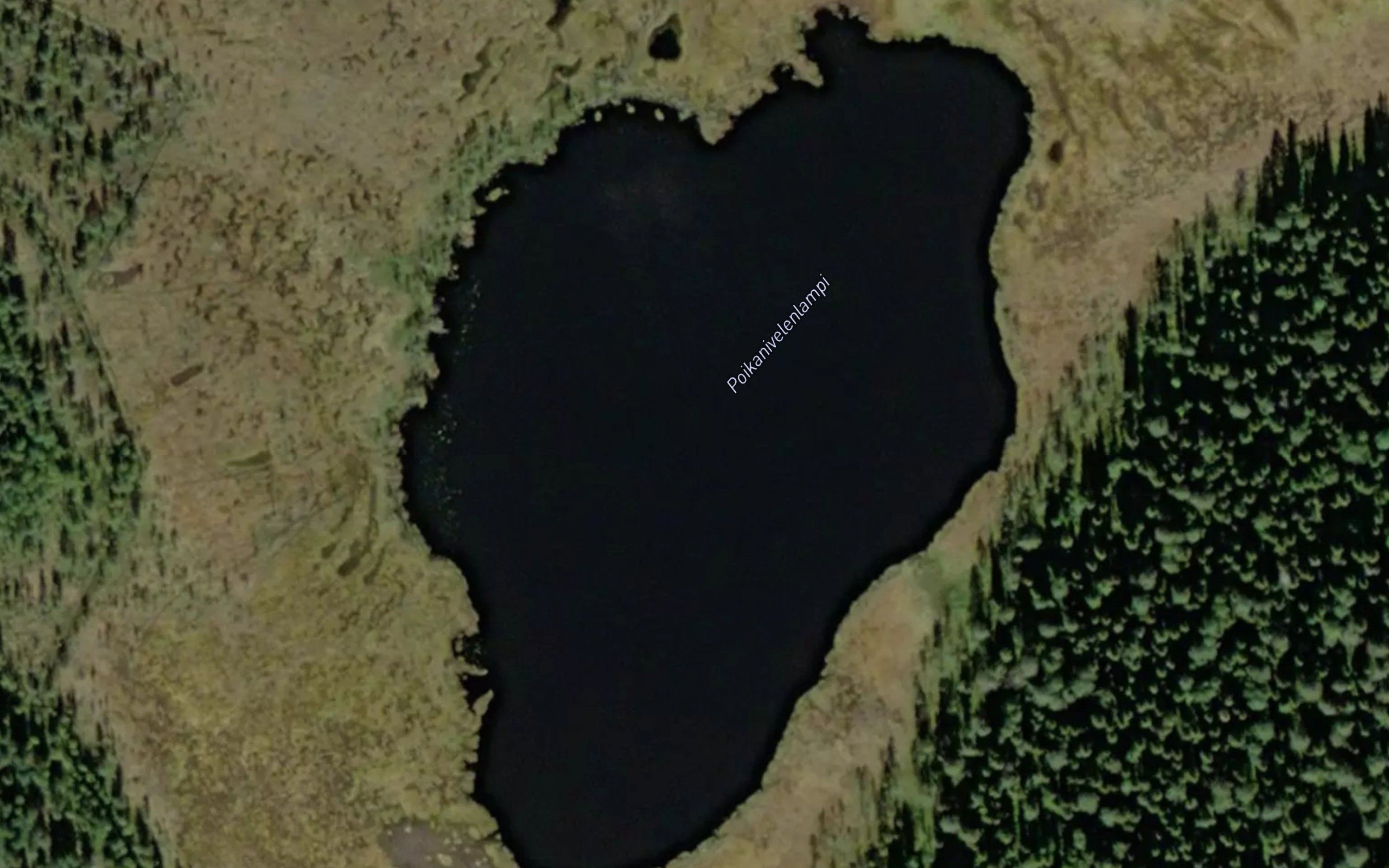 Poikanivelenlampi