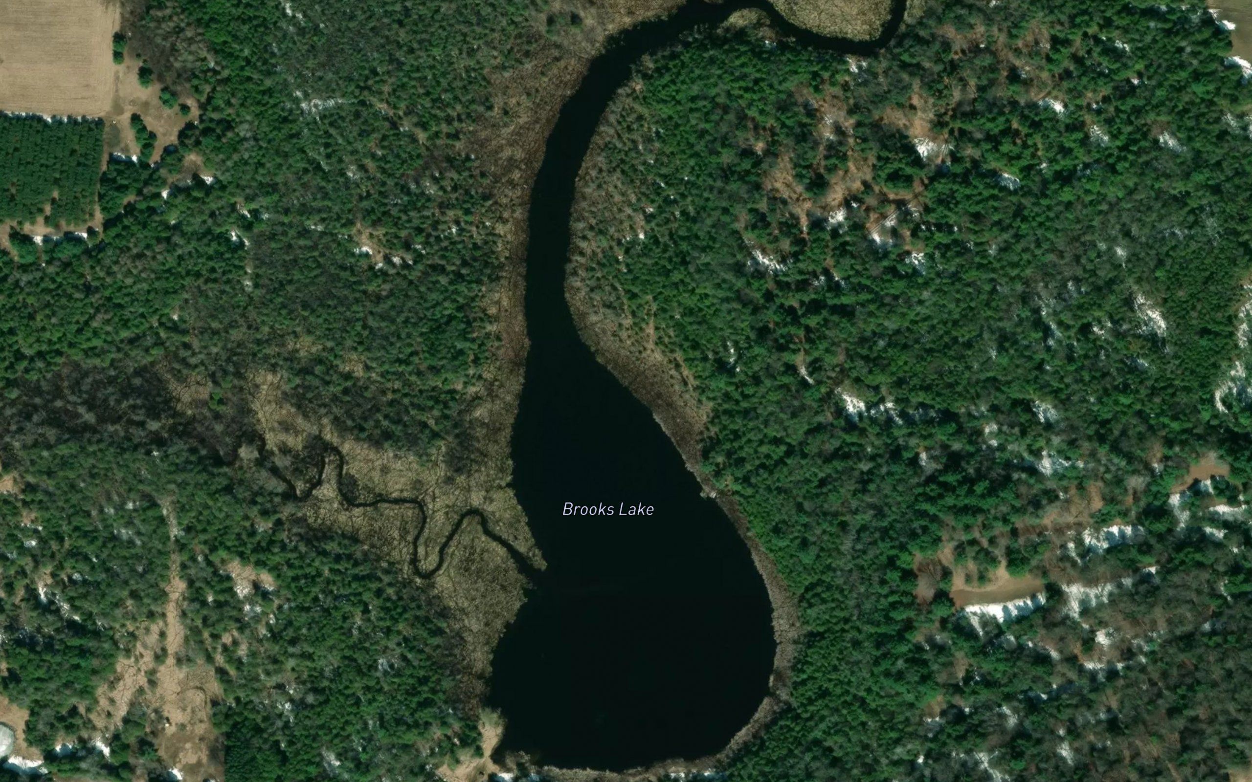 Brooks Lake