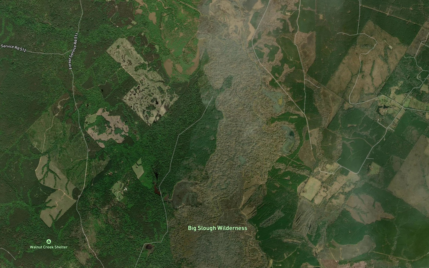 Satellite map of the Big Springs