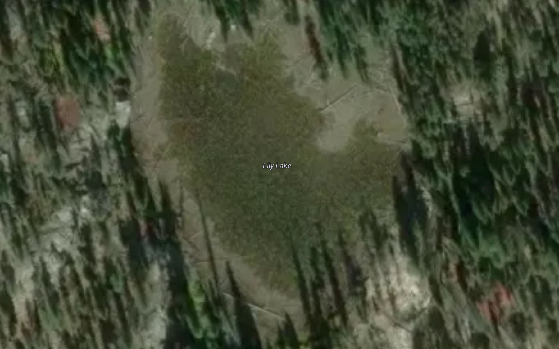 Satellite map of the Lily Lake