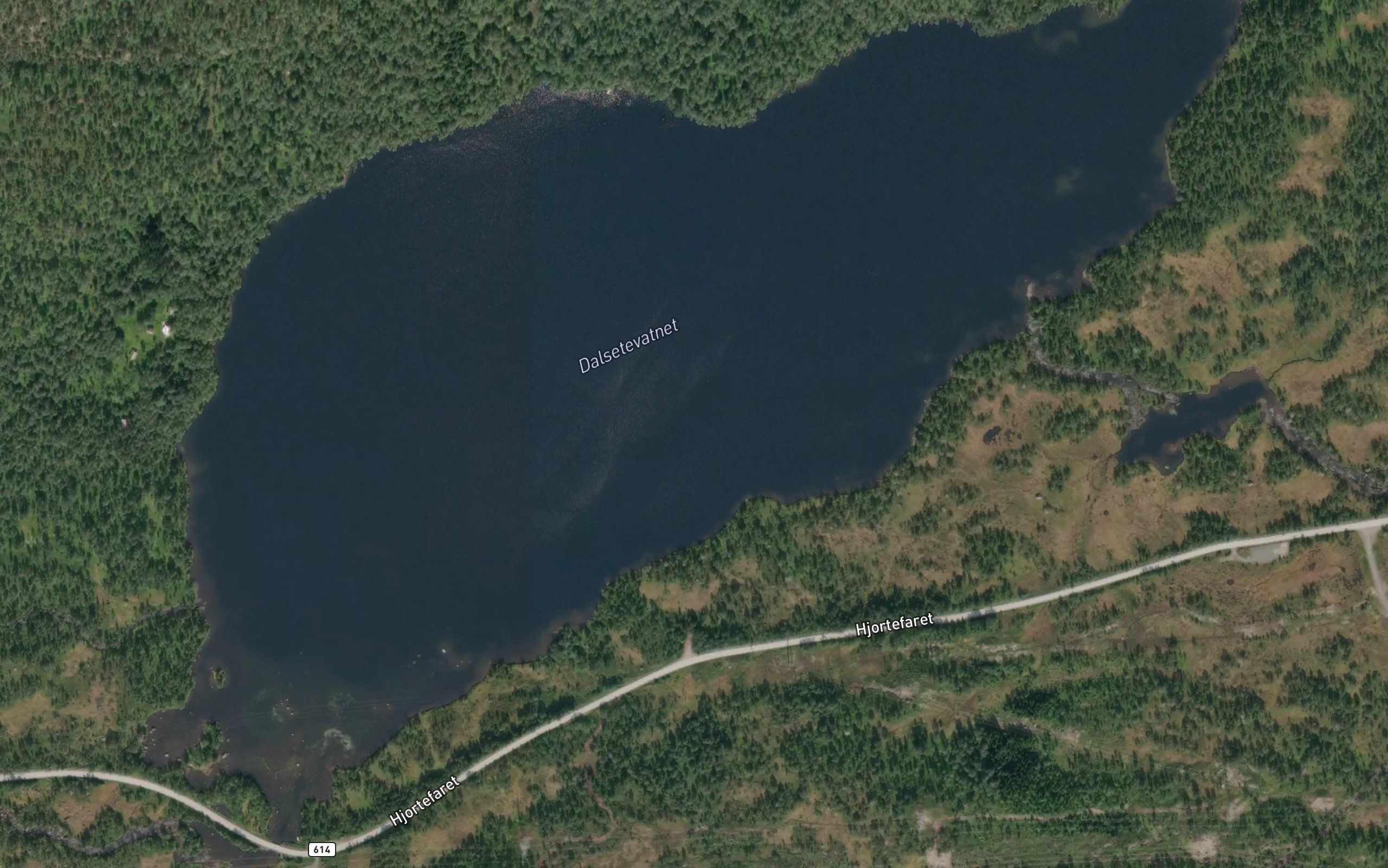 Dalsetevatnet