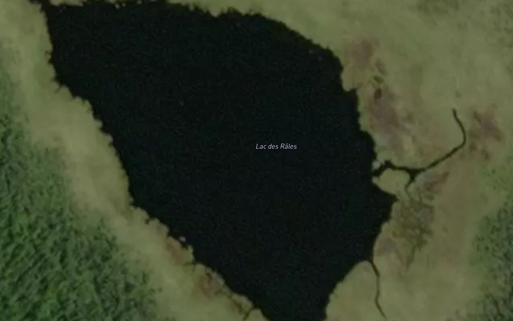 Satellite map of the Lac des Rales