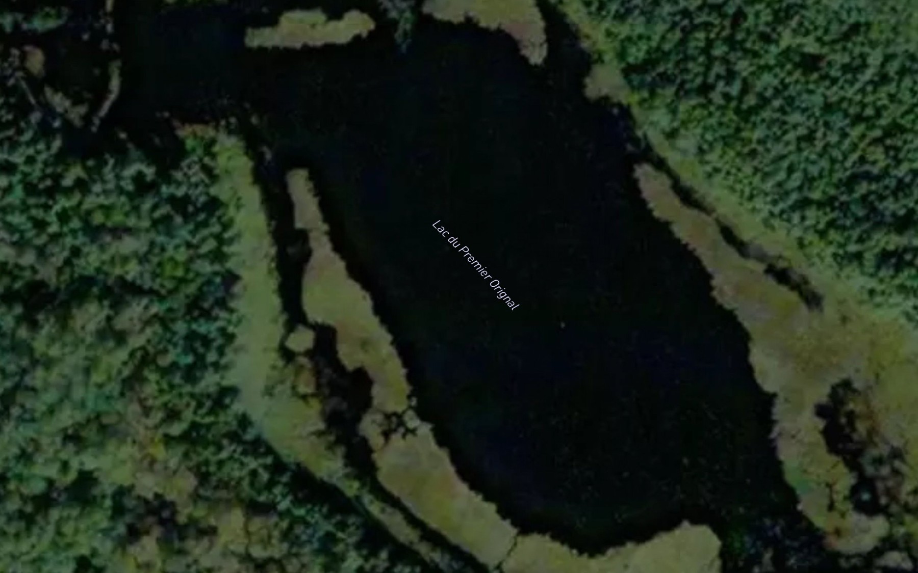 Satellite map of the Lac du Premier Orignal